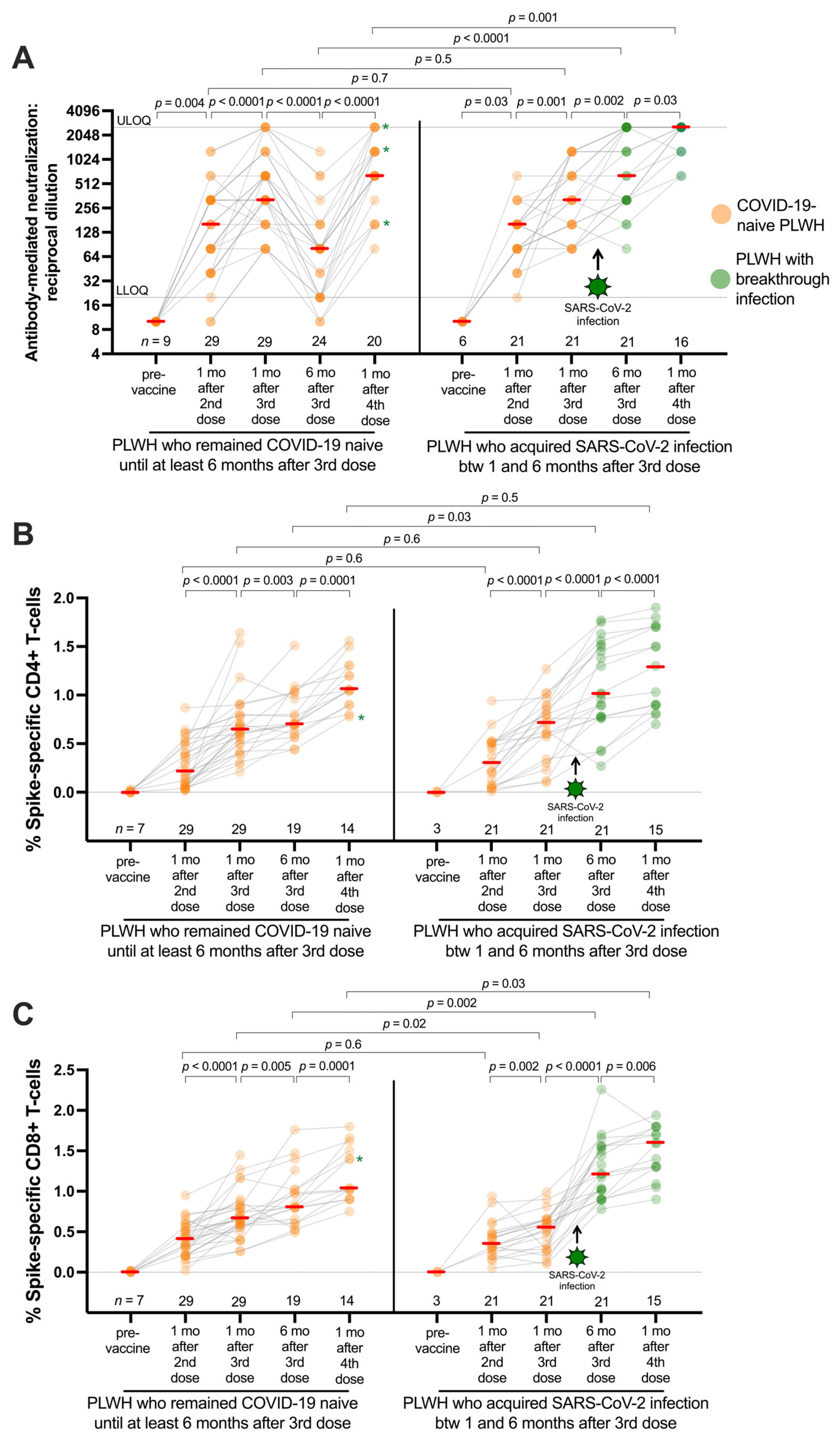 Viruses 16 00661 g003