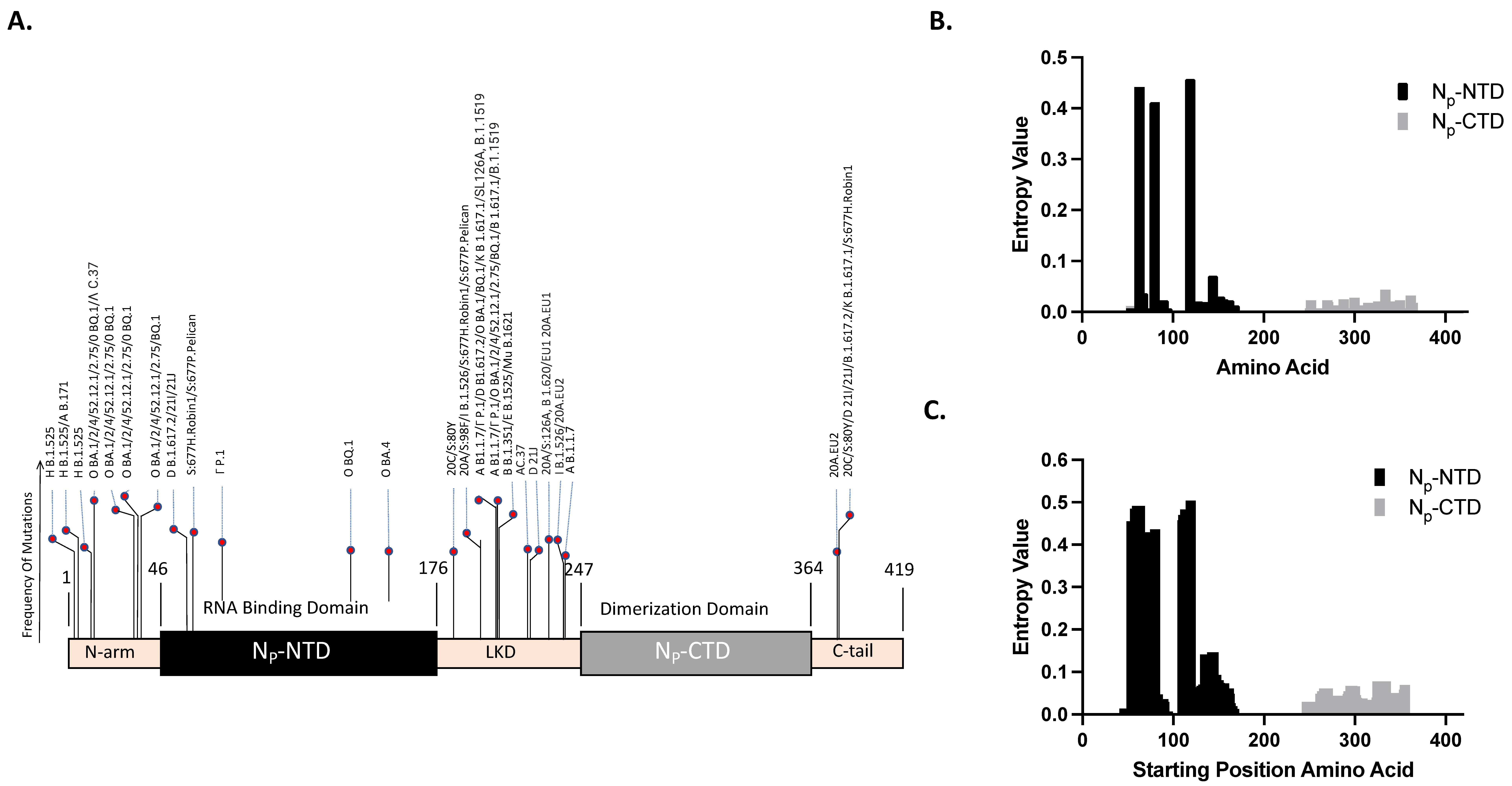 Viruses 16 00662 g001