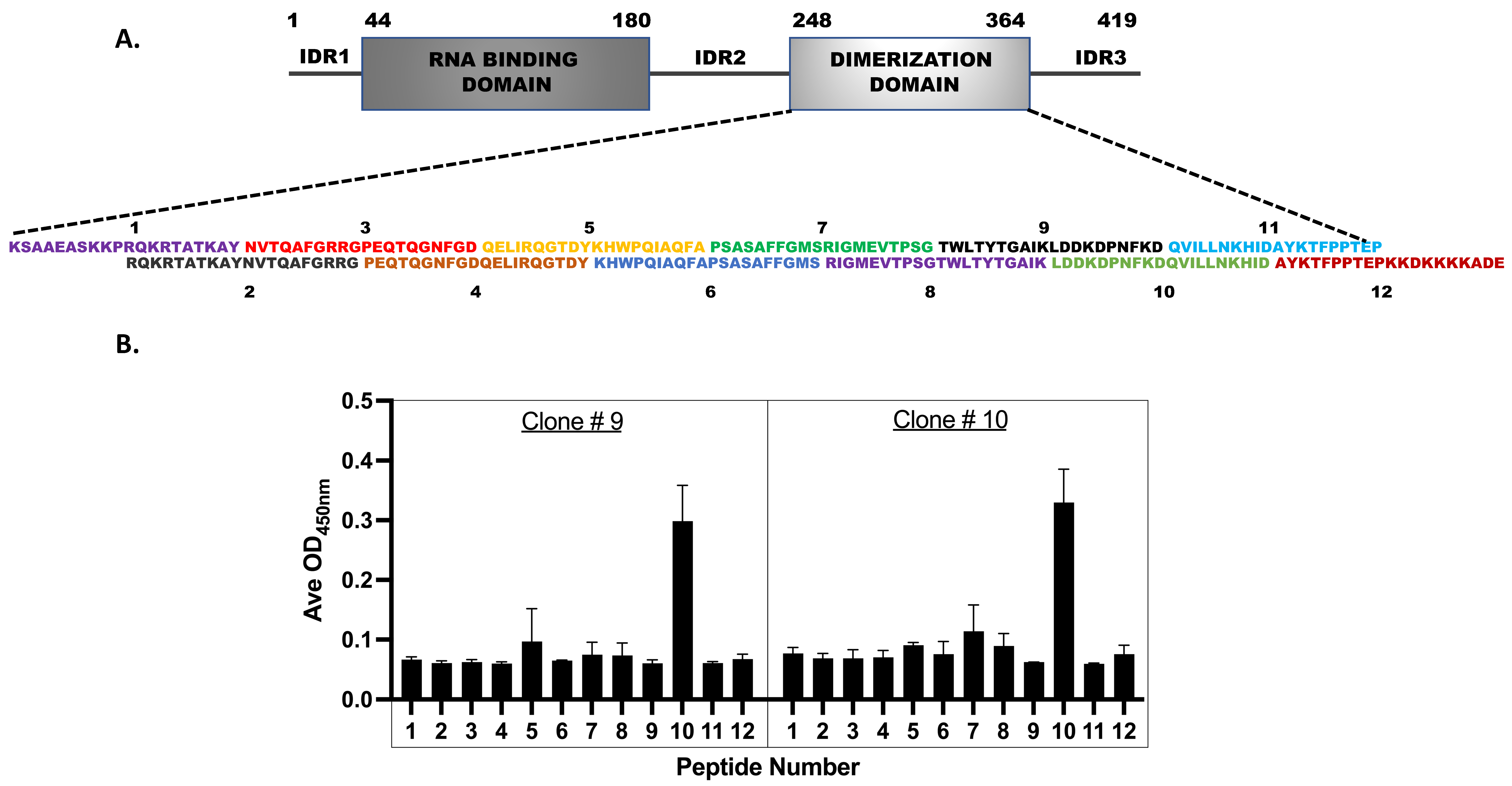 Viruses 16 00662 g006a