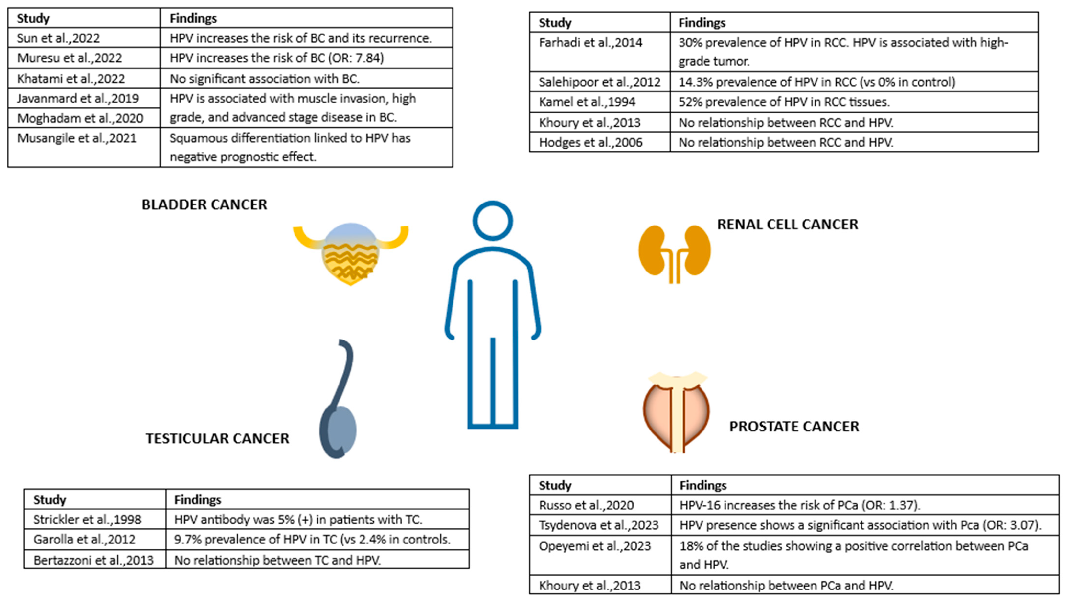 Viruses 16 00667 g002 Viruses 16 00667 g002
