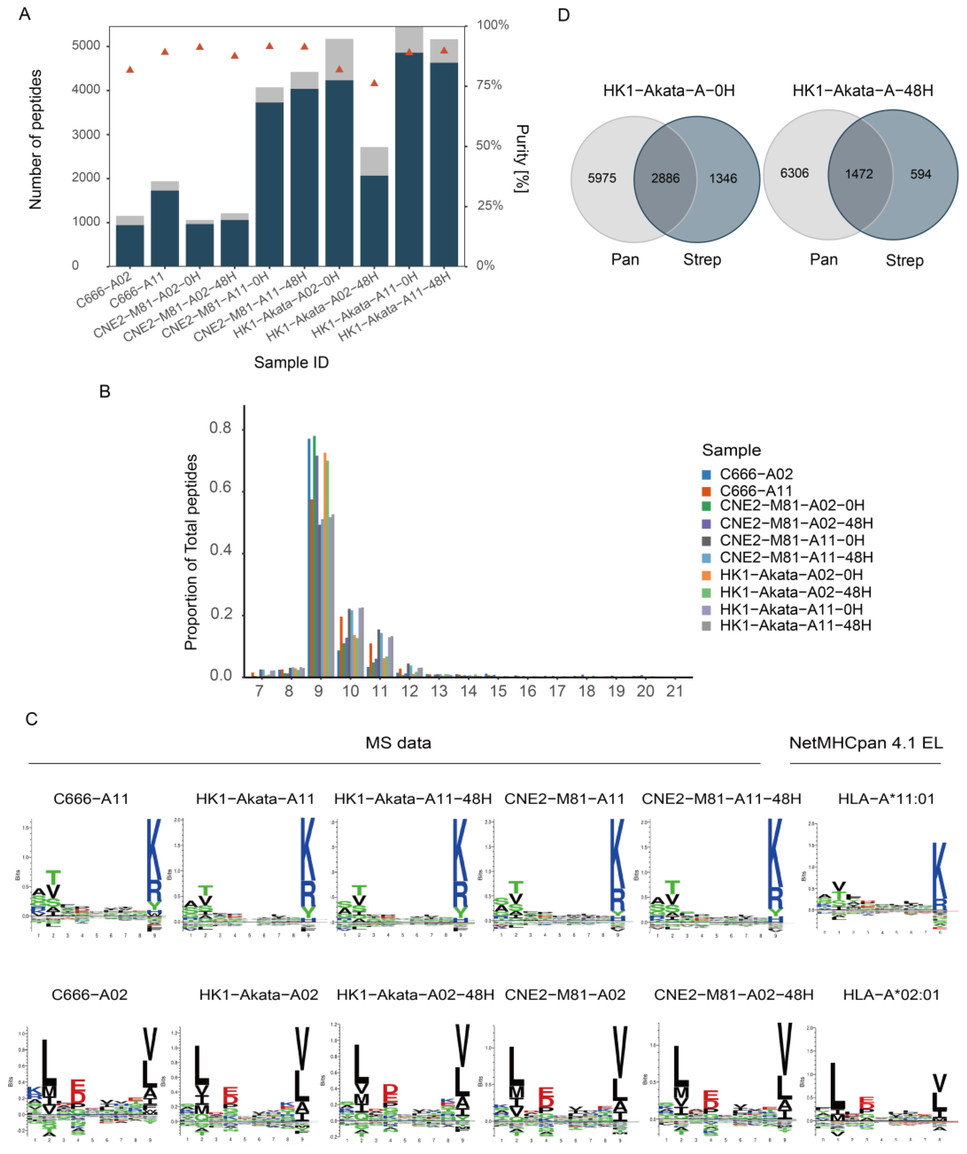 Viruses 16 00669 g002