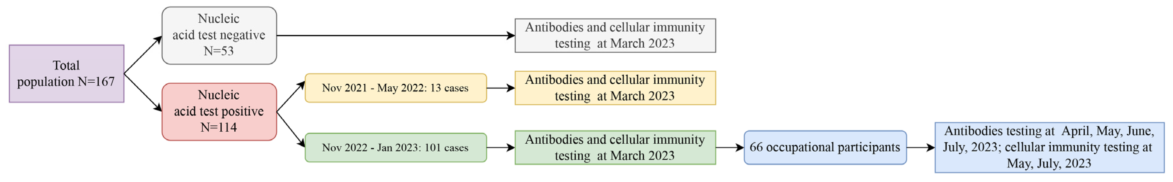 Viruses 16 00672 g001