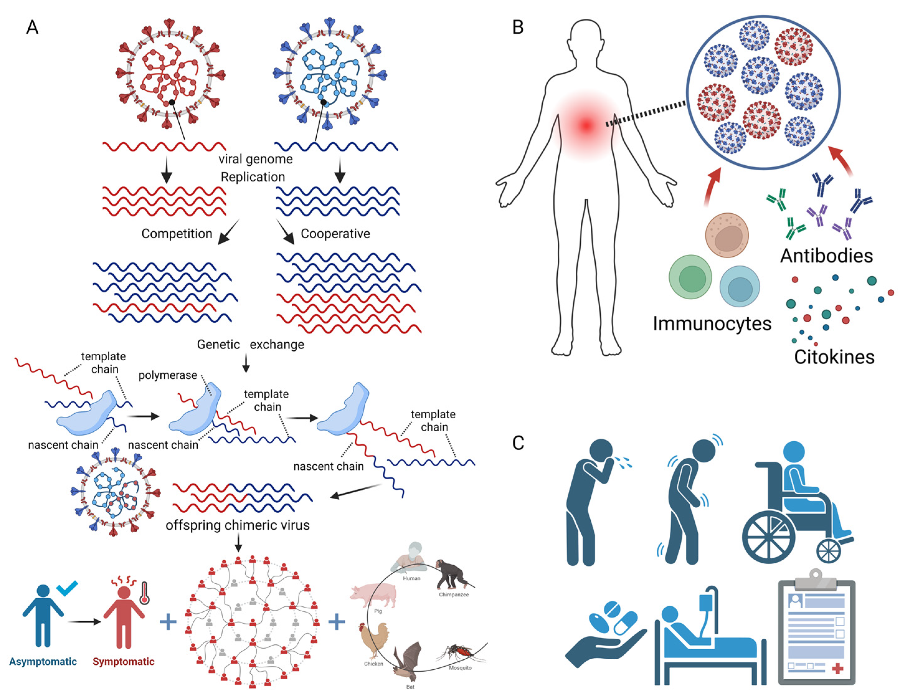 Viruses 16 00673 g002 Viruses 16 00673 g002