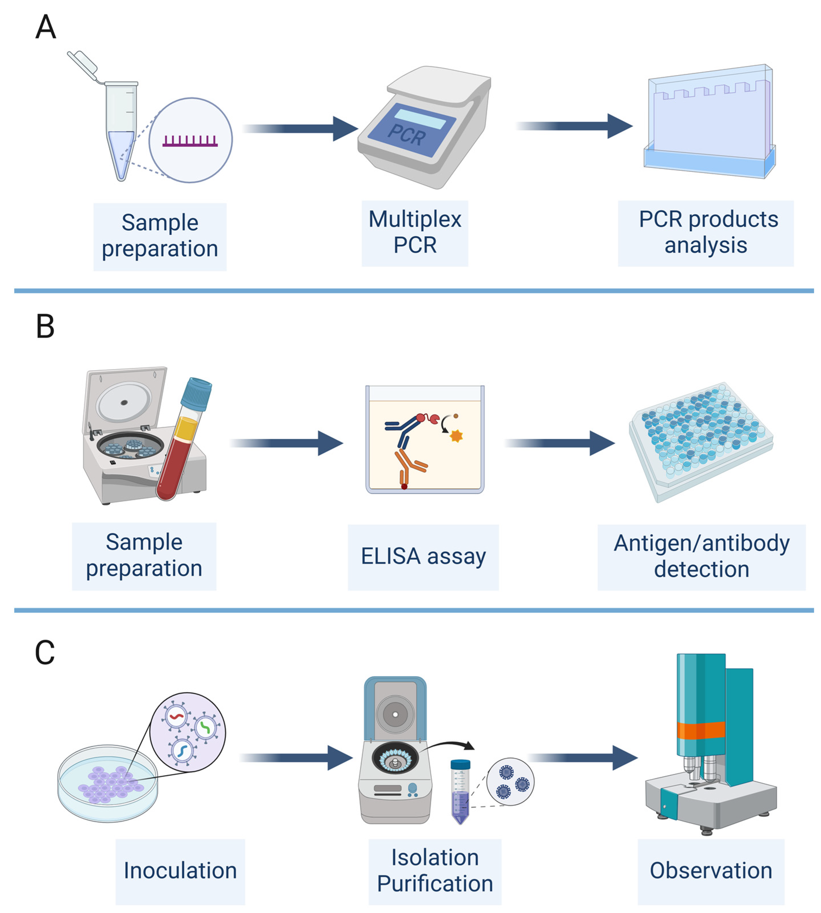 Viruses 16 00673 g003 Viruses 16 00673 g003