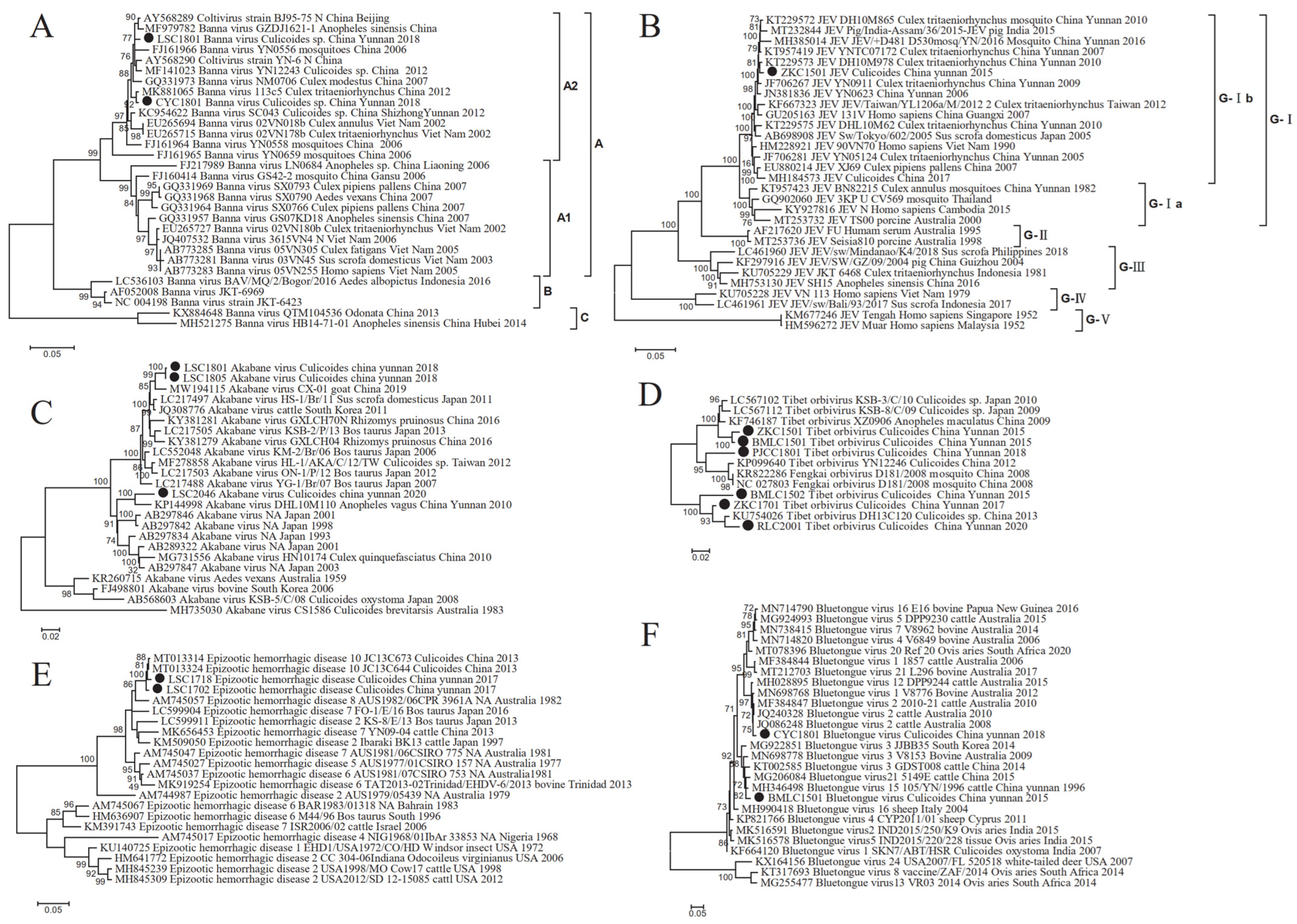 Viruses 16 00674 g003