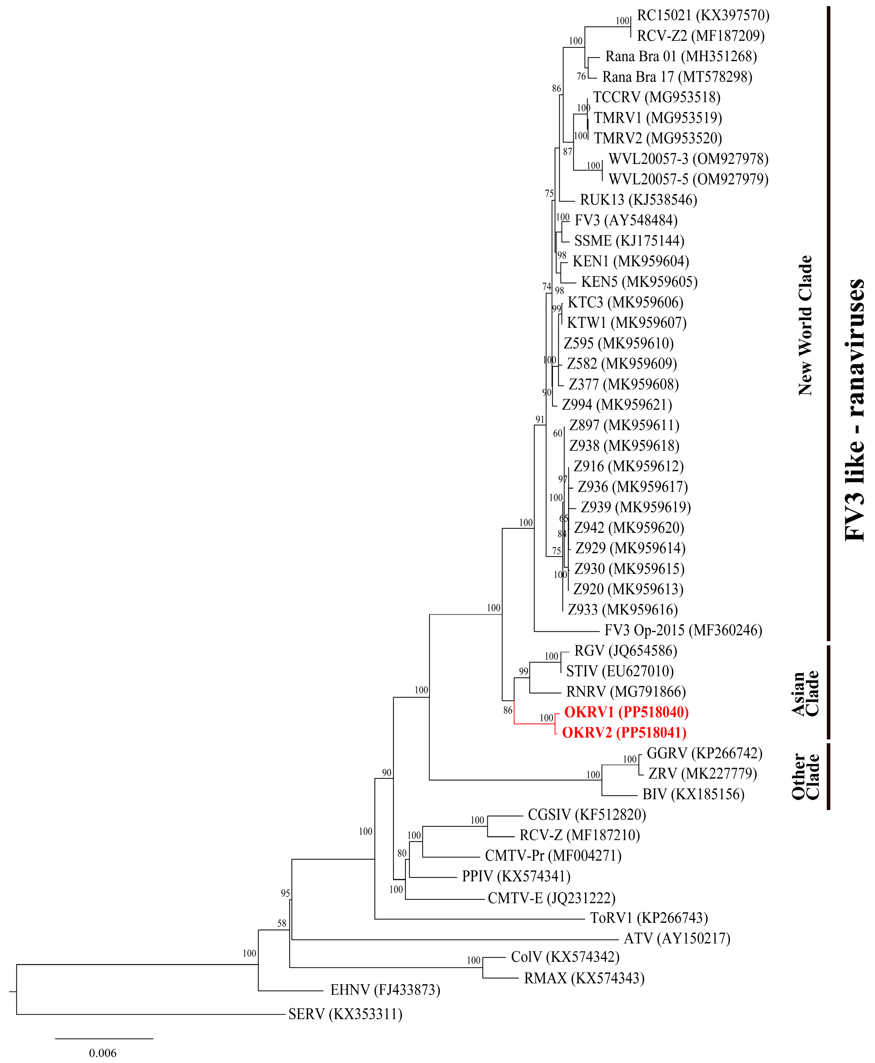 Viruses 16 00675 g003