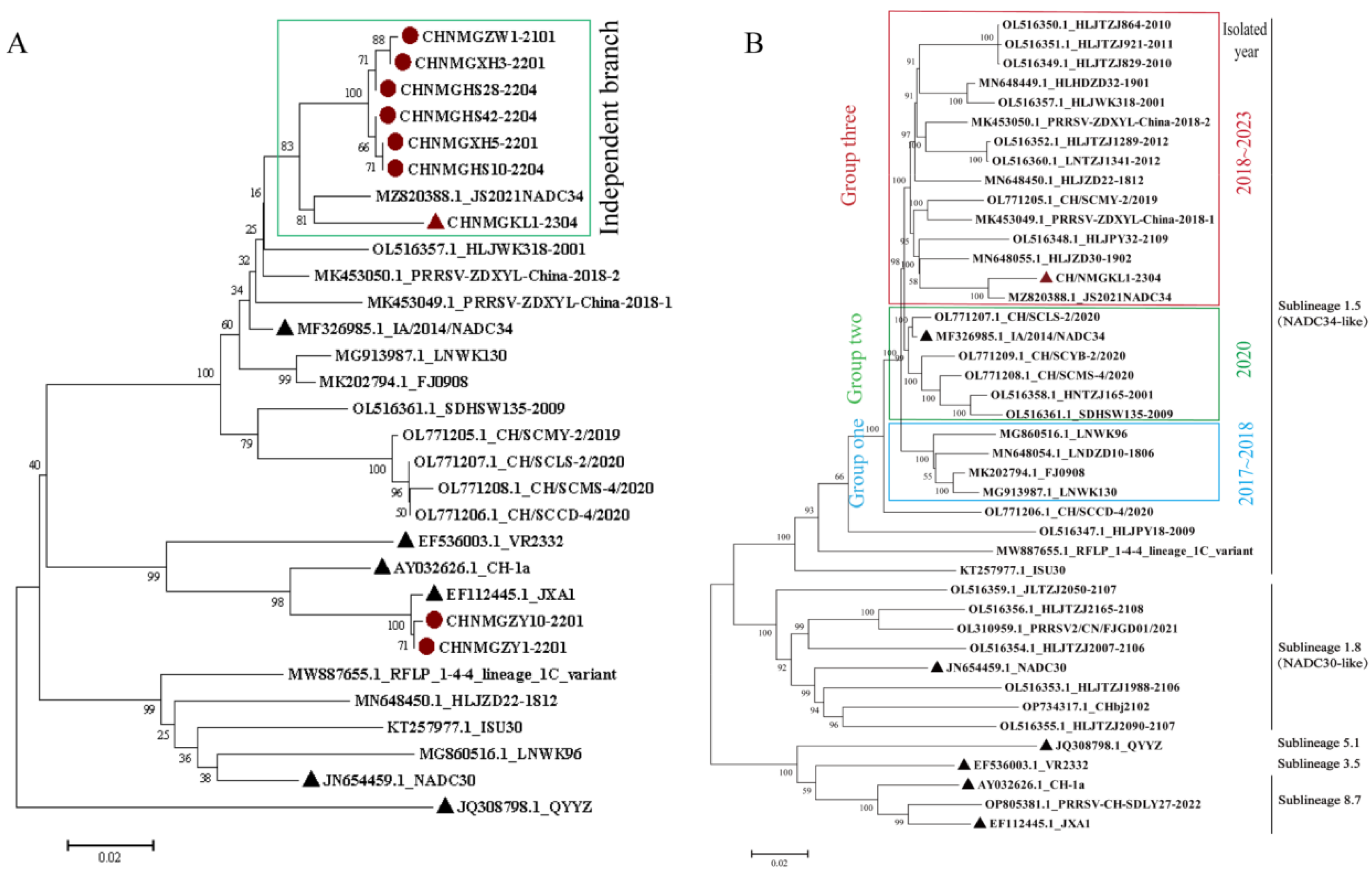 Viruses 16 00683 g002