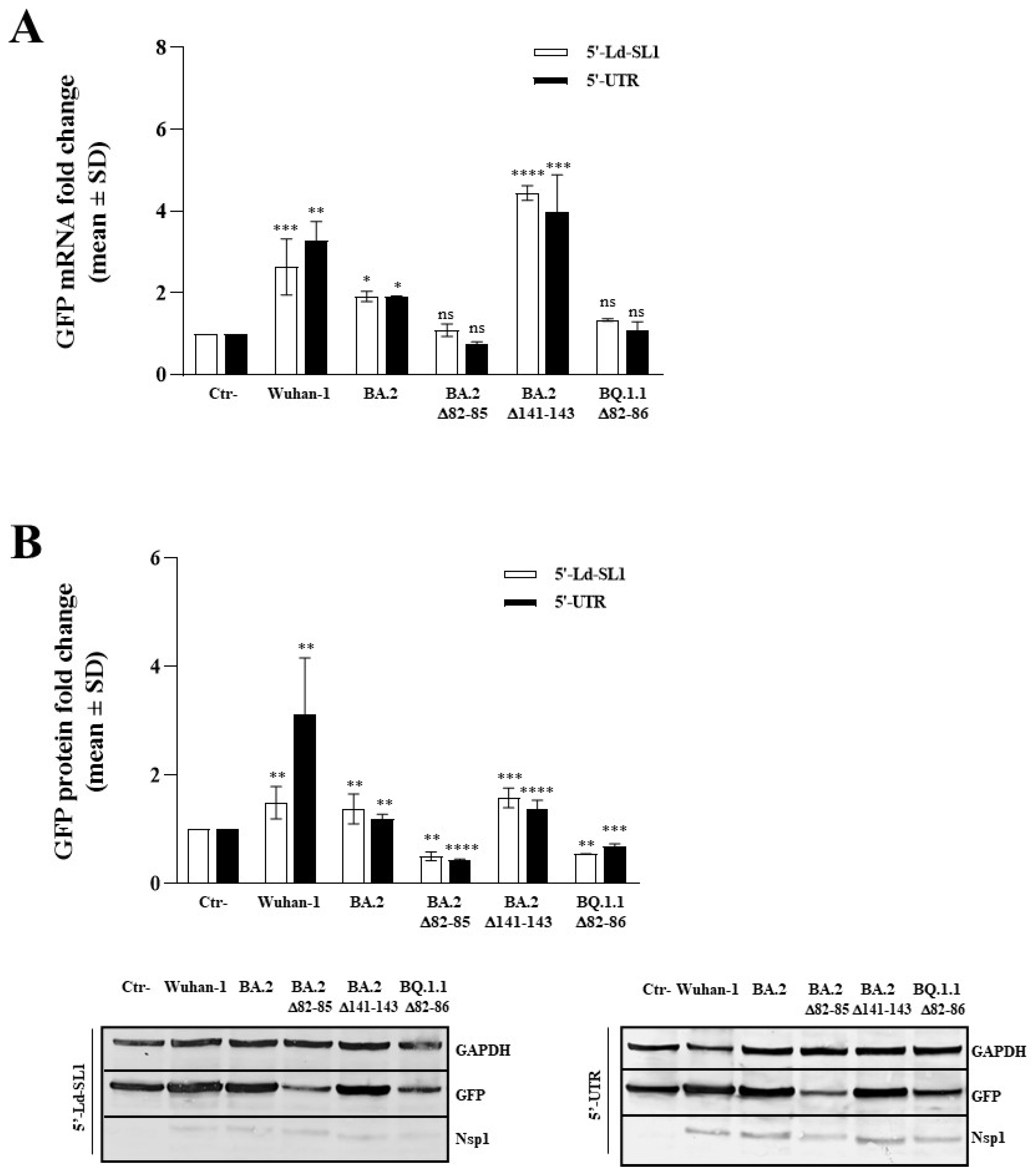 Viruses 16 00689 g004