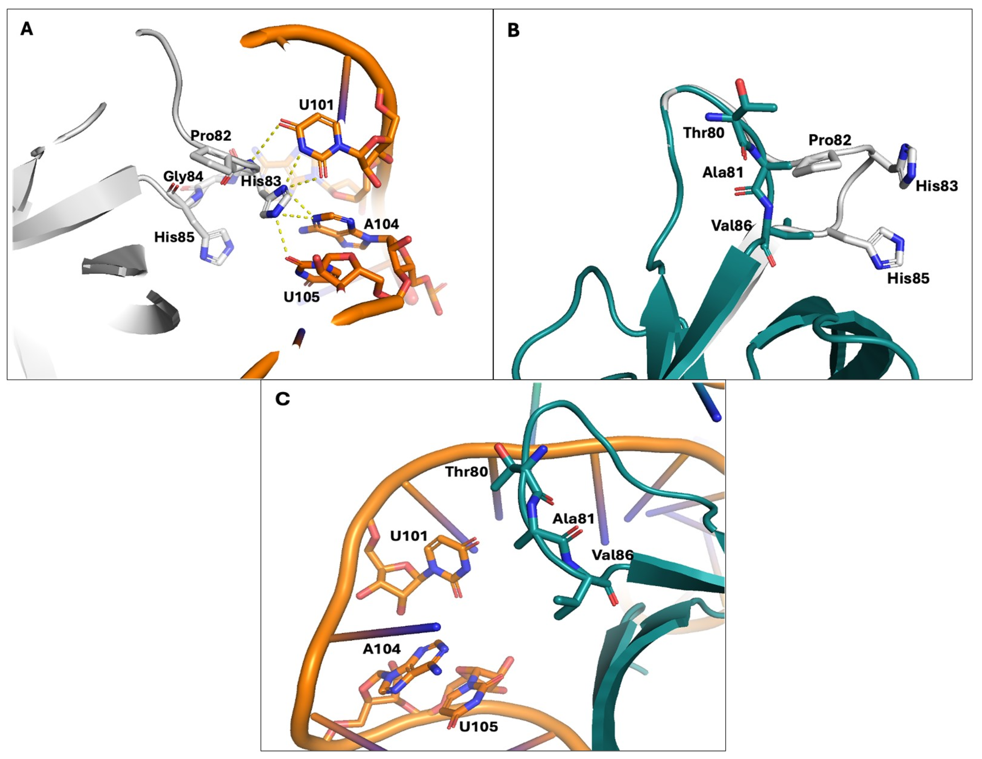 Viruses 16 00689 g006