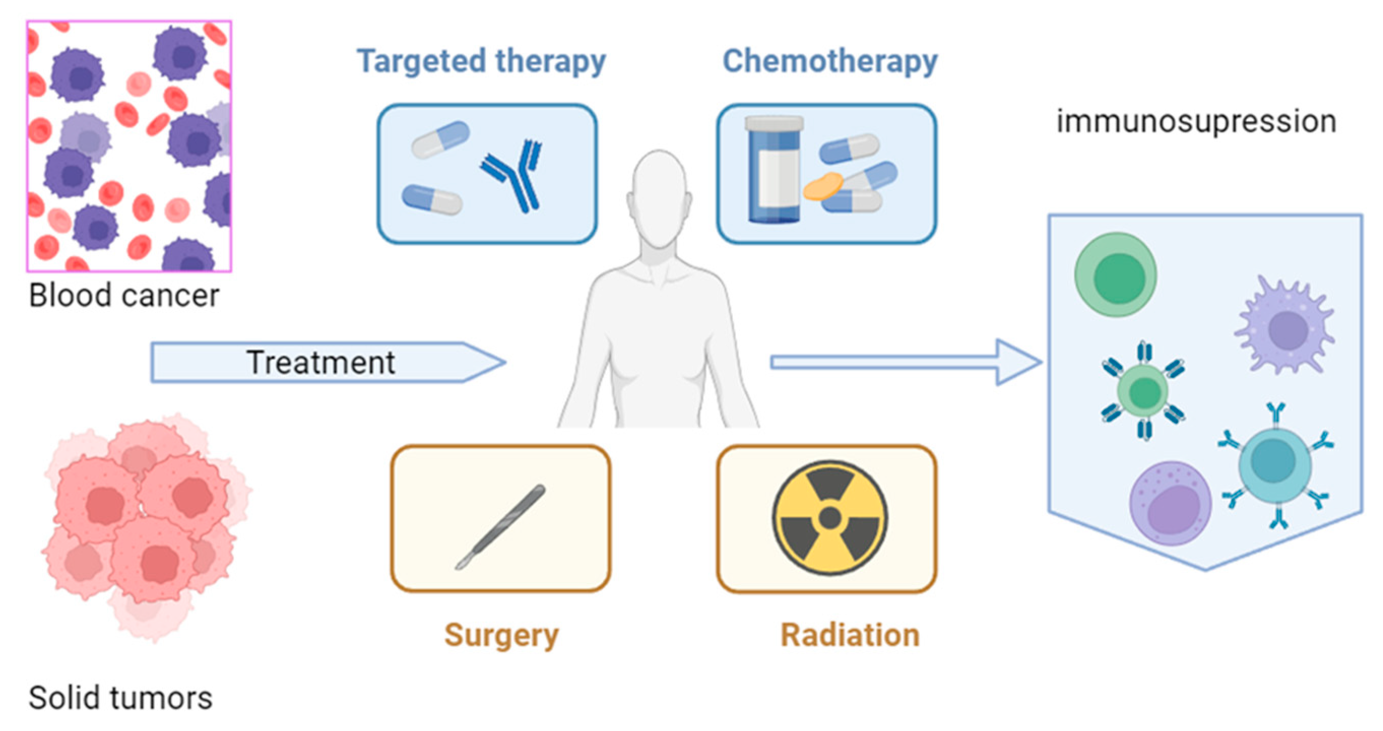 Viruses 16 00690 g001