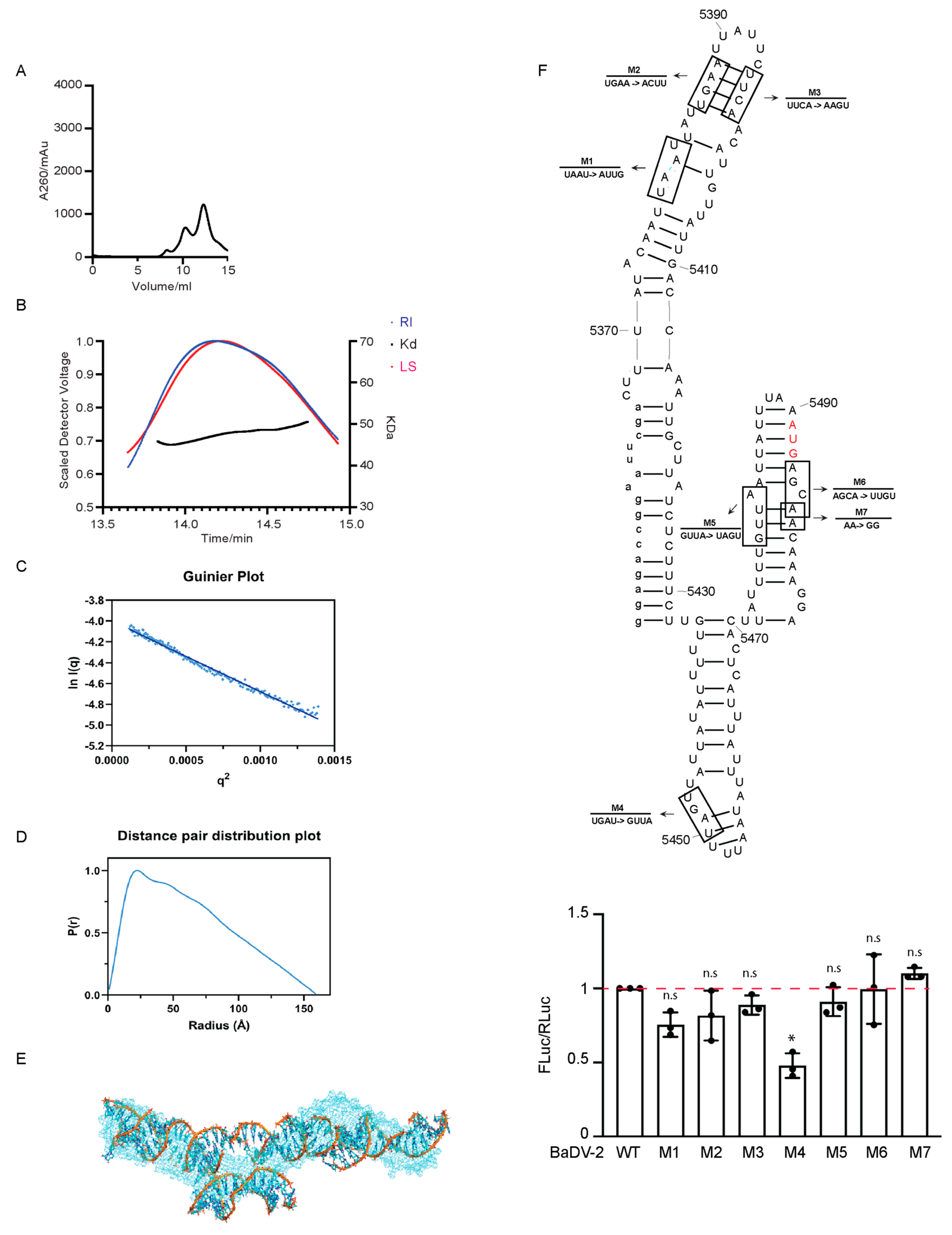 Viruses 16 00695 g005