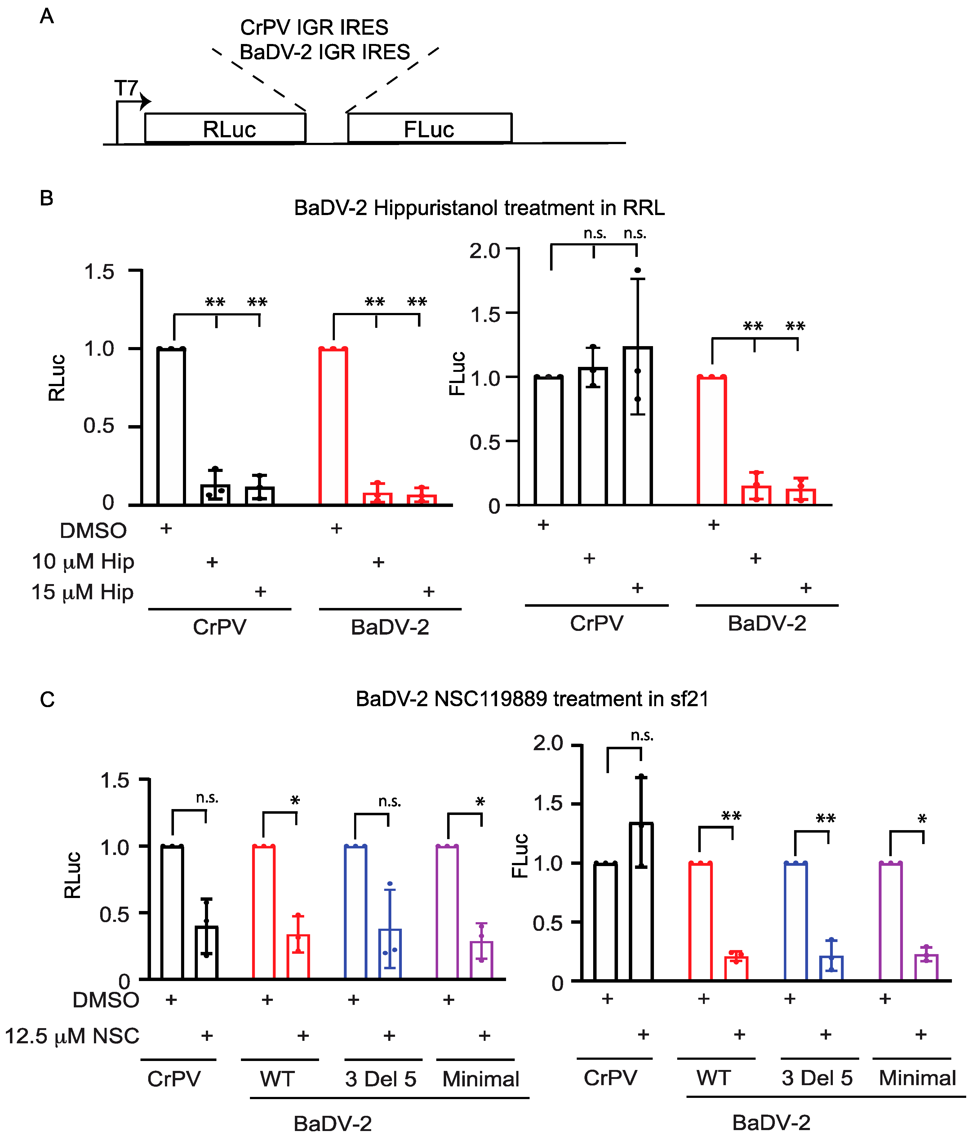 Viruses 16 00695 g009