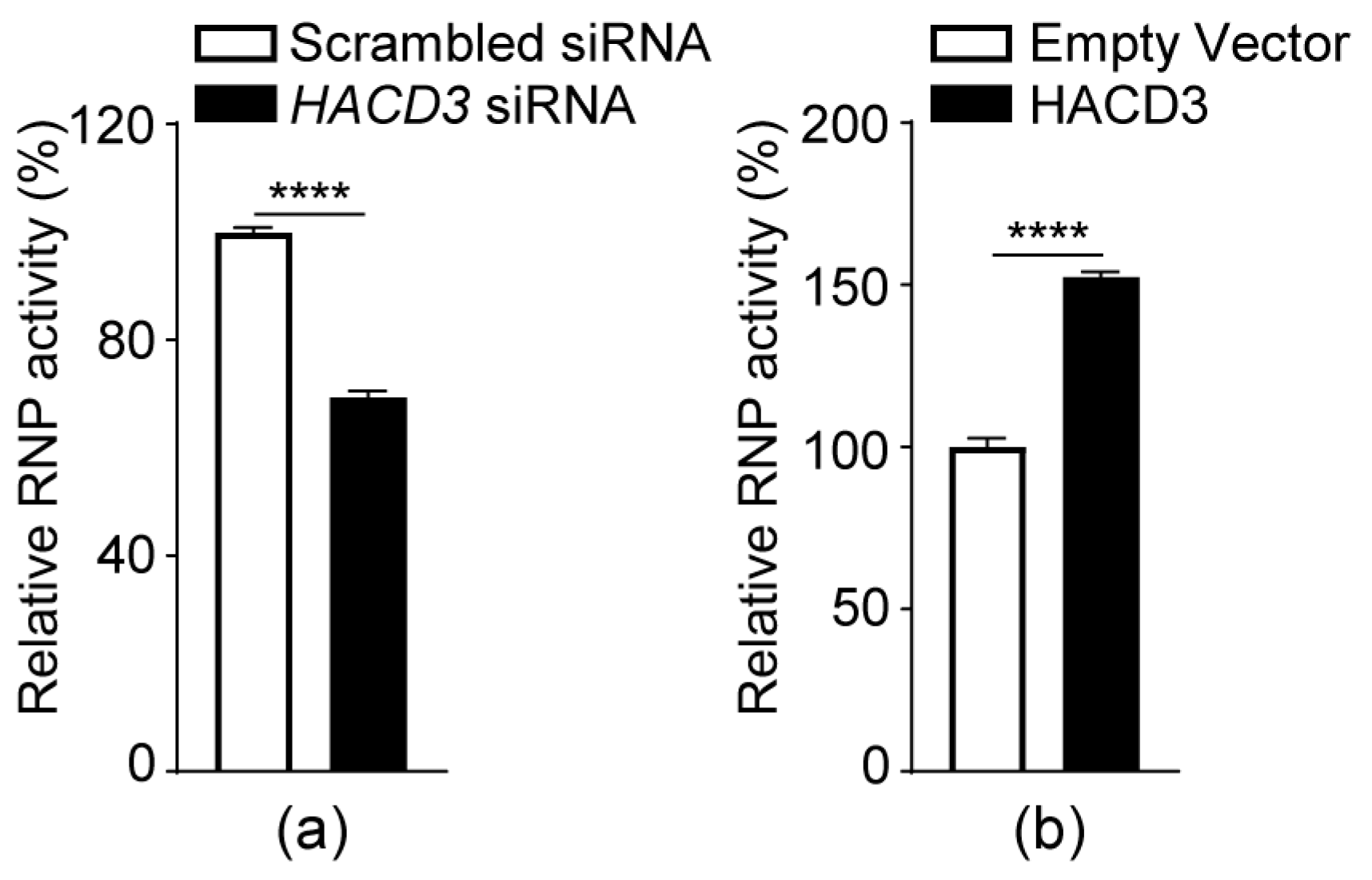 Viruses 16 00702 g007