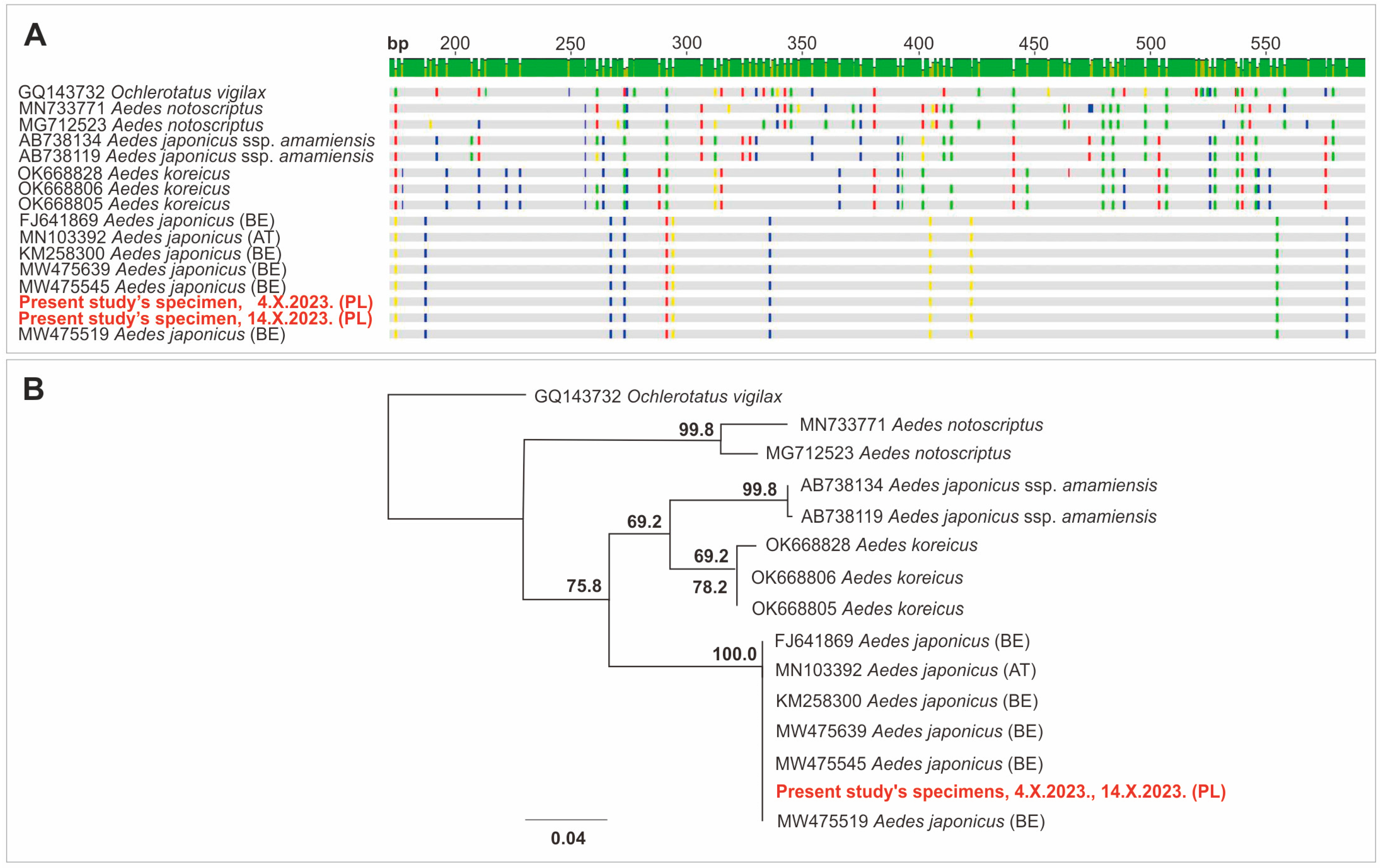 Viruses 16 00703 g002