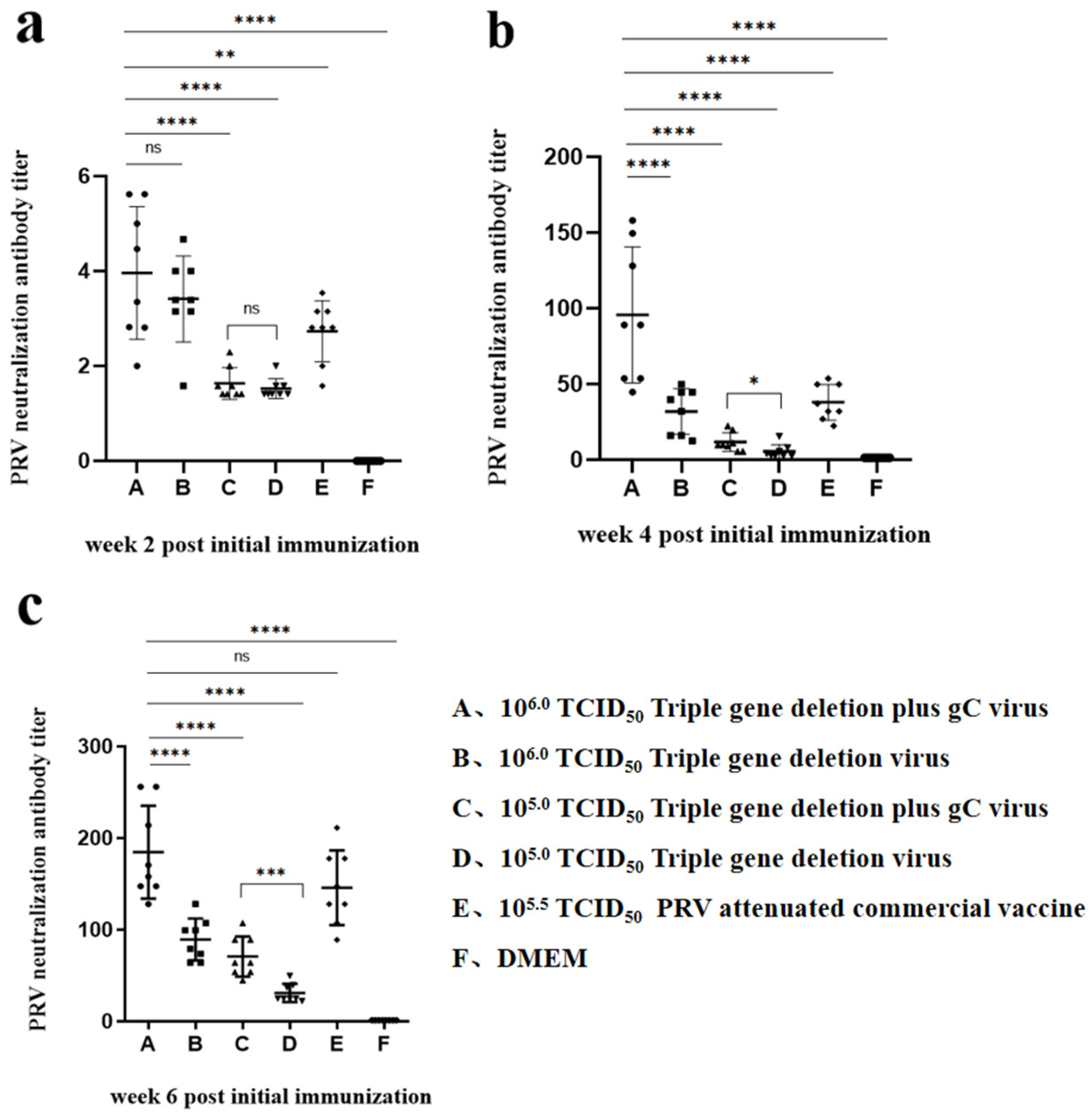 Viruses 16 00706 g007