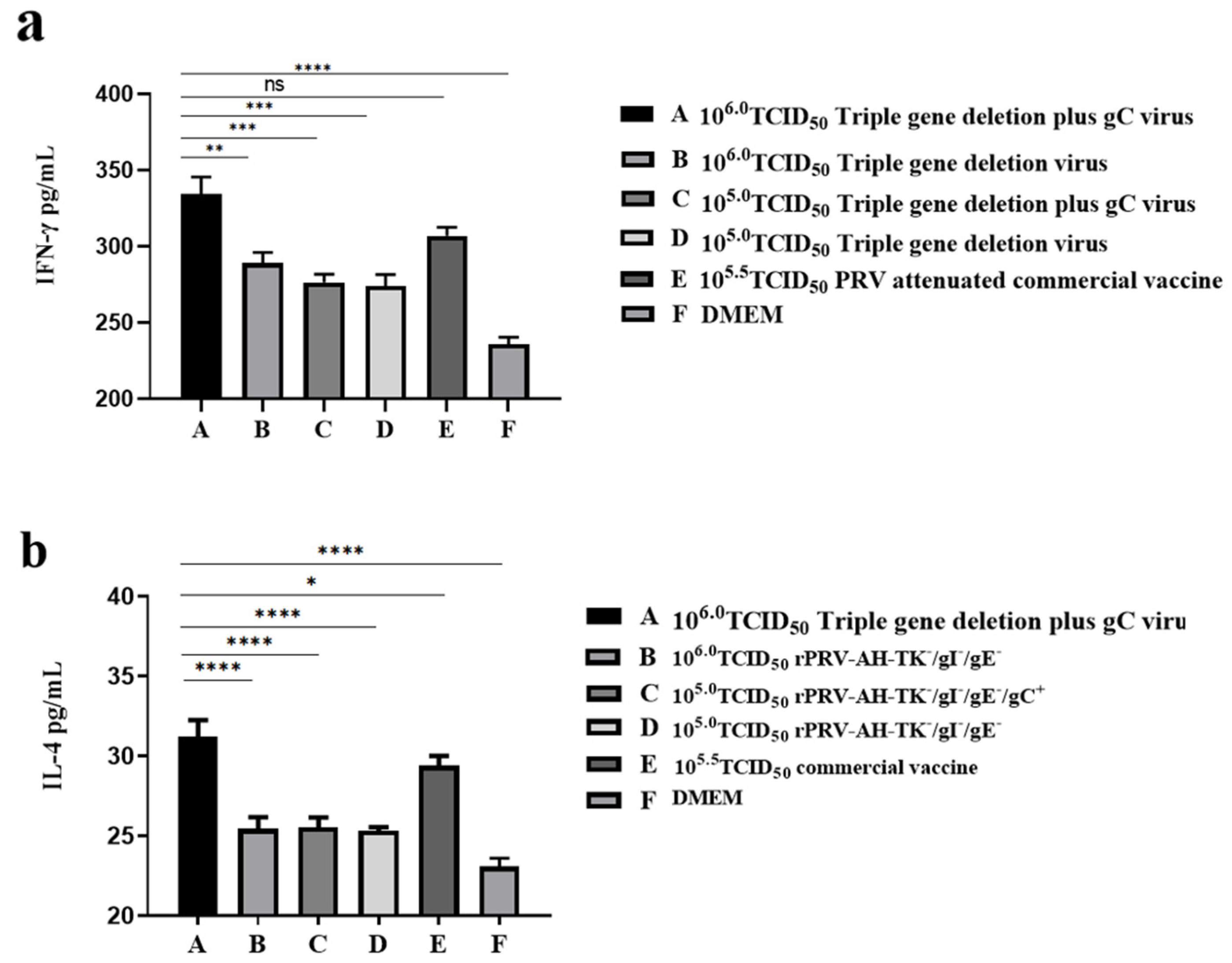 Viruses 16 00706 g009