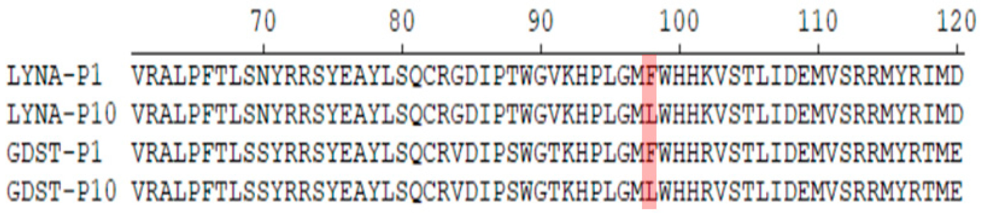 Viruses 16 00711 g003