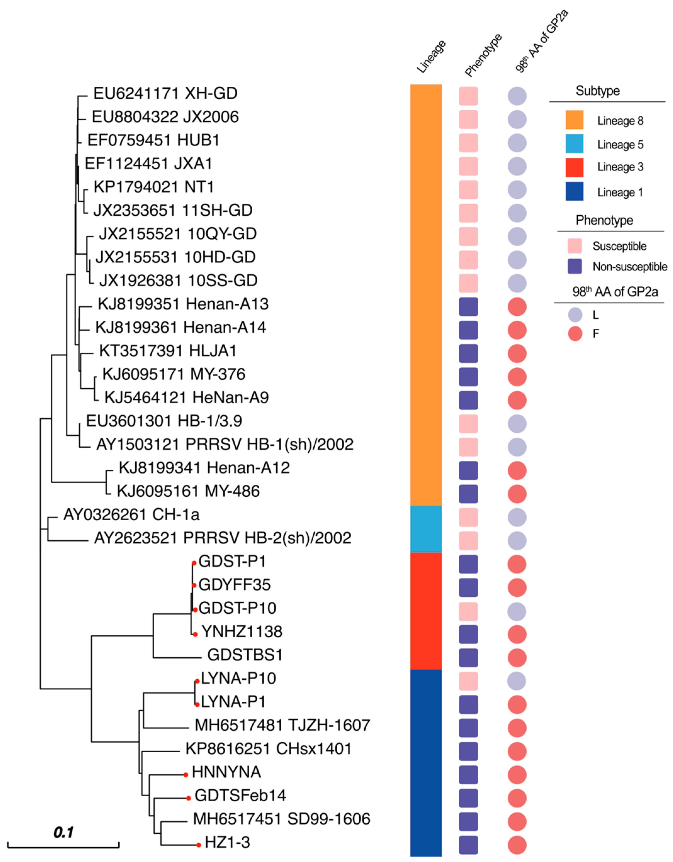 Viruses 16 00711 g004