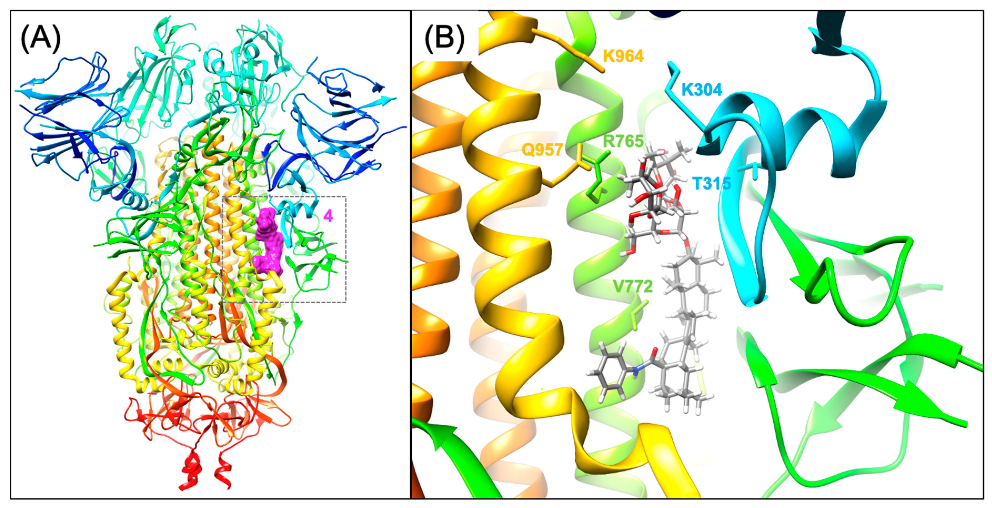 Viruses 16 00712 g003