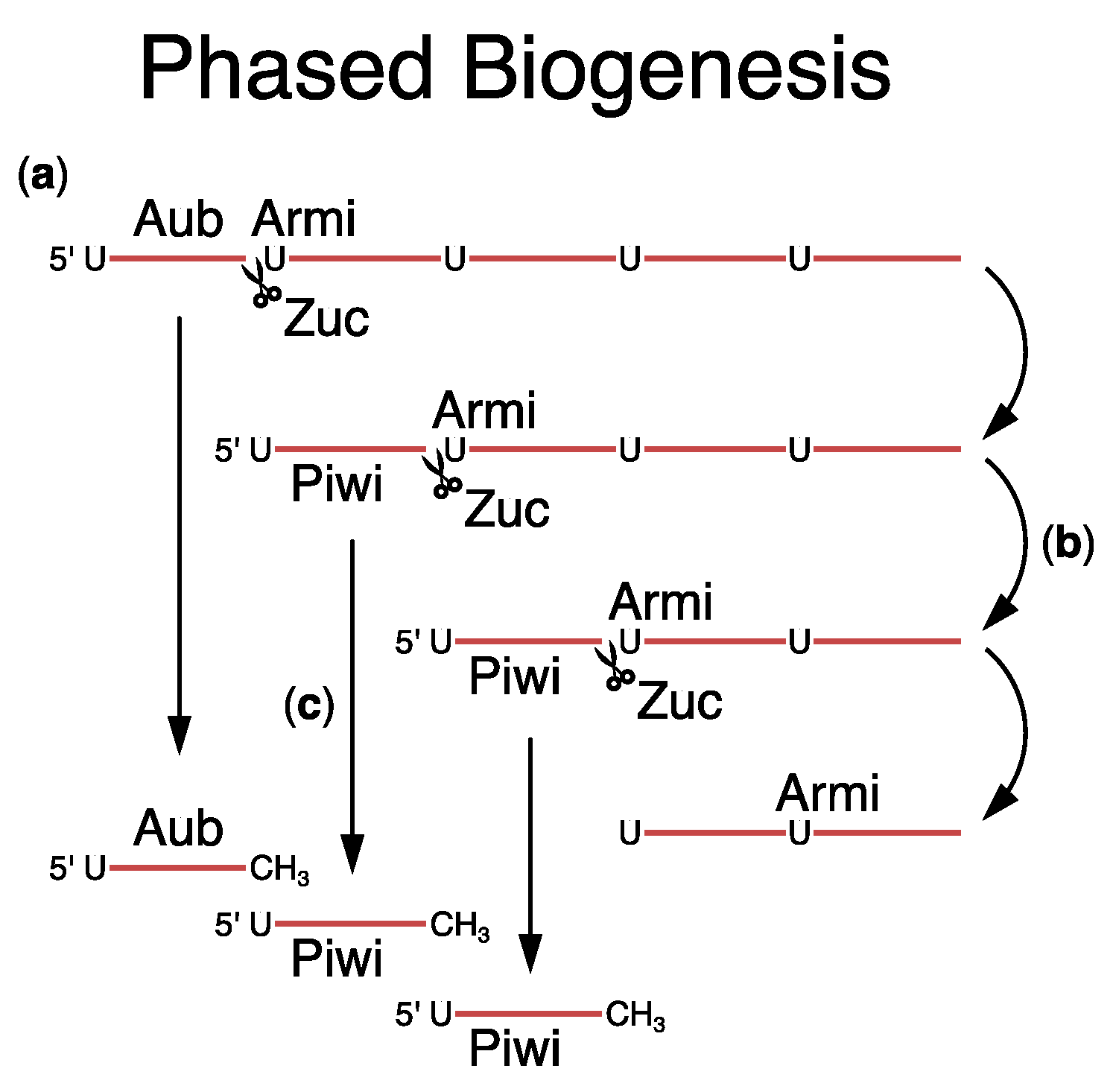 Viruses 16 00714 g004 Viruses 16 00714 g004