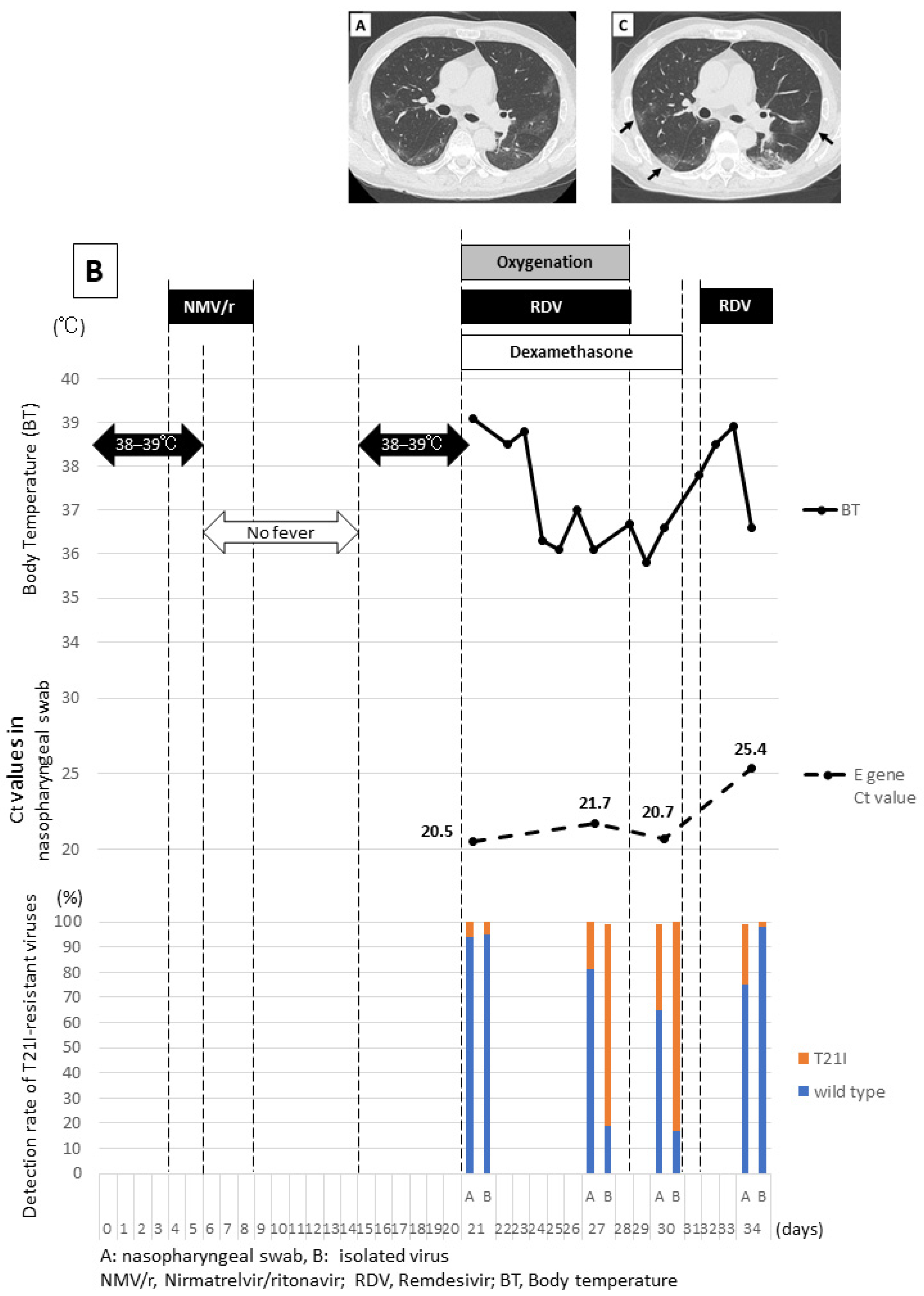 Viruses 16 00718 g001