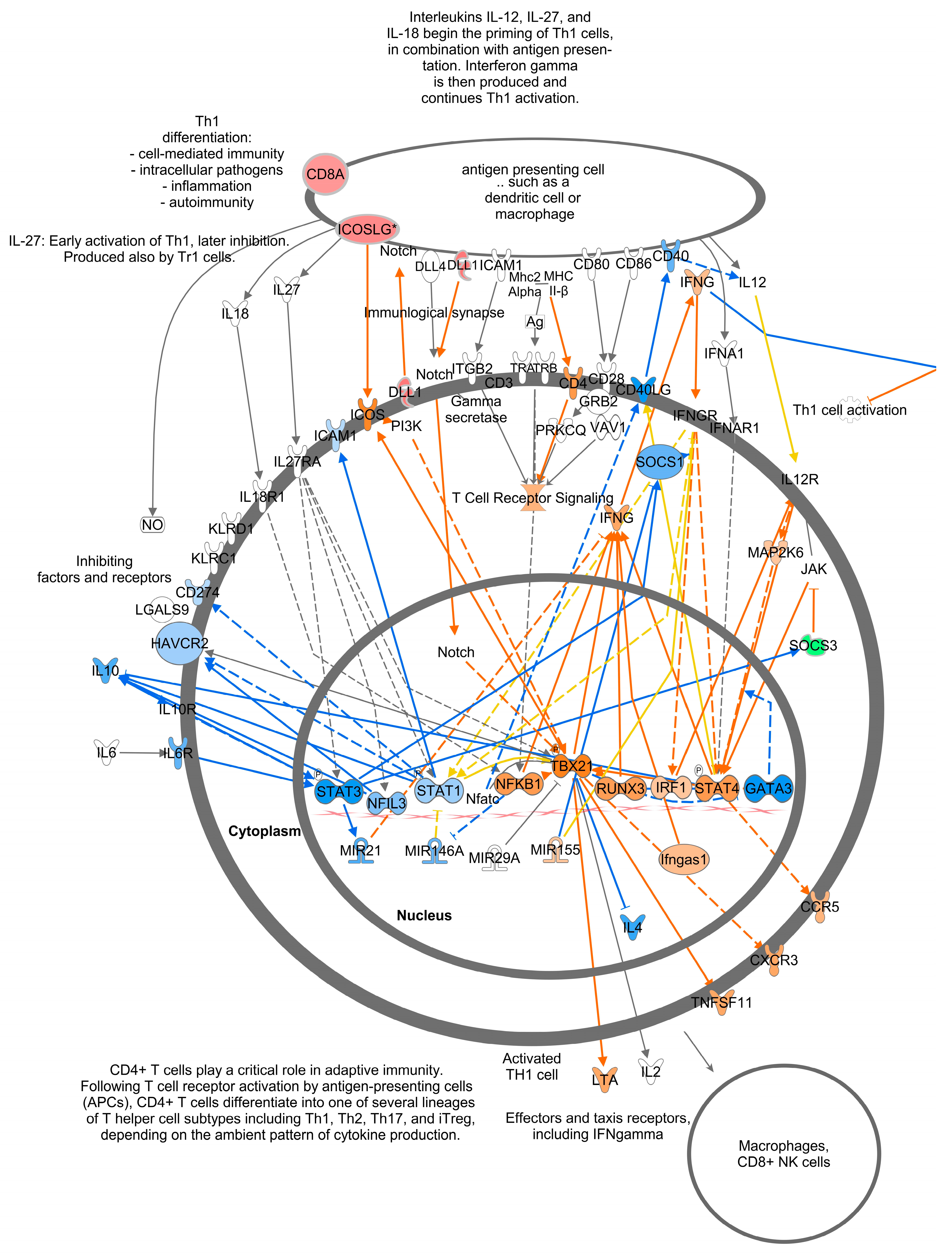 Viruses 16 00721 g007