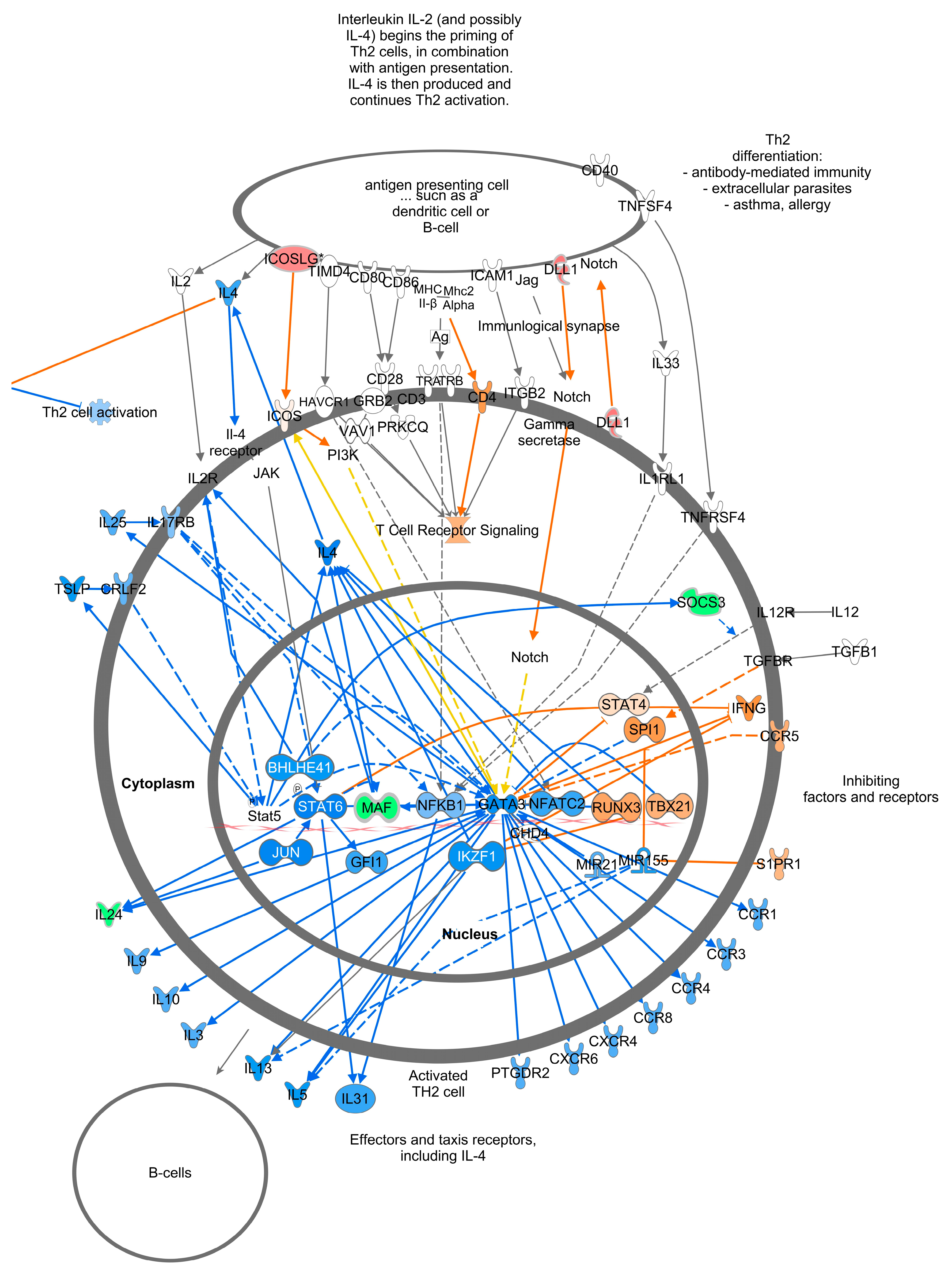 Viruses 16 00721 g008