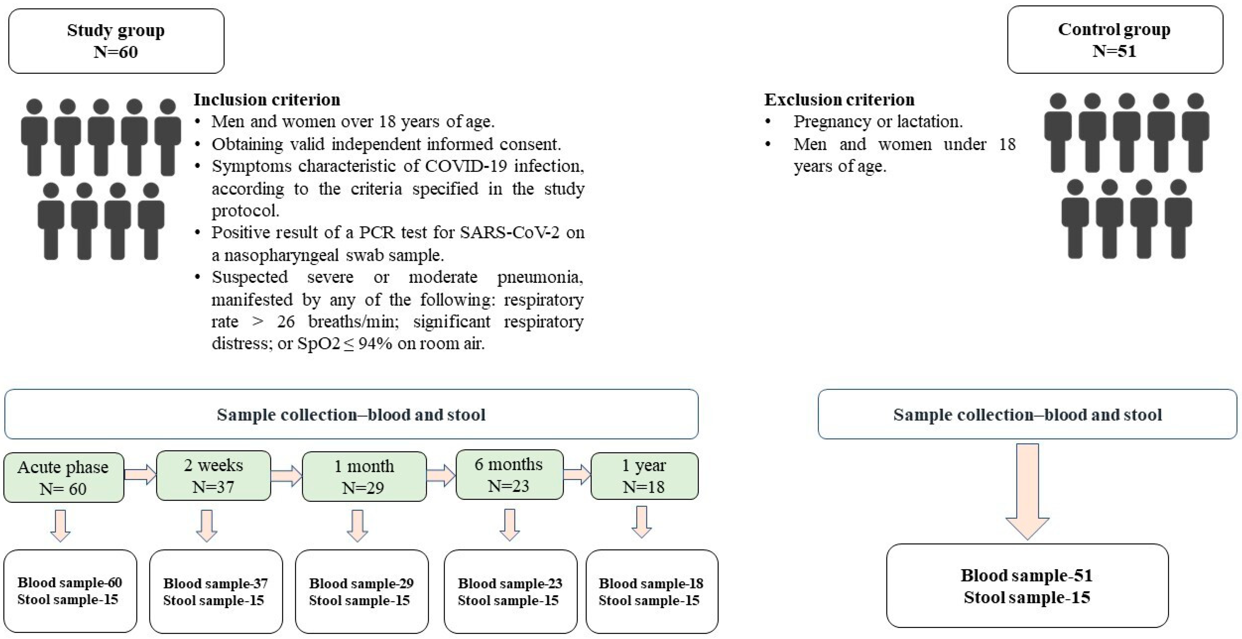 Viruses 16 00722 g001