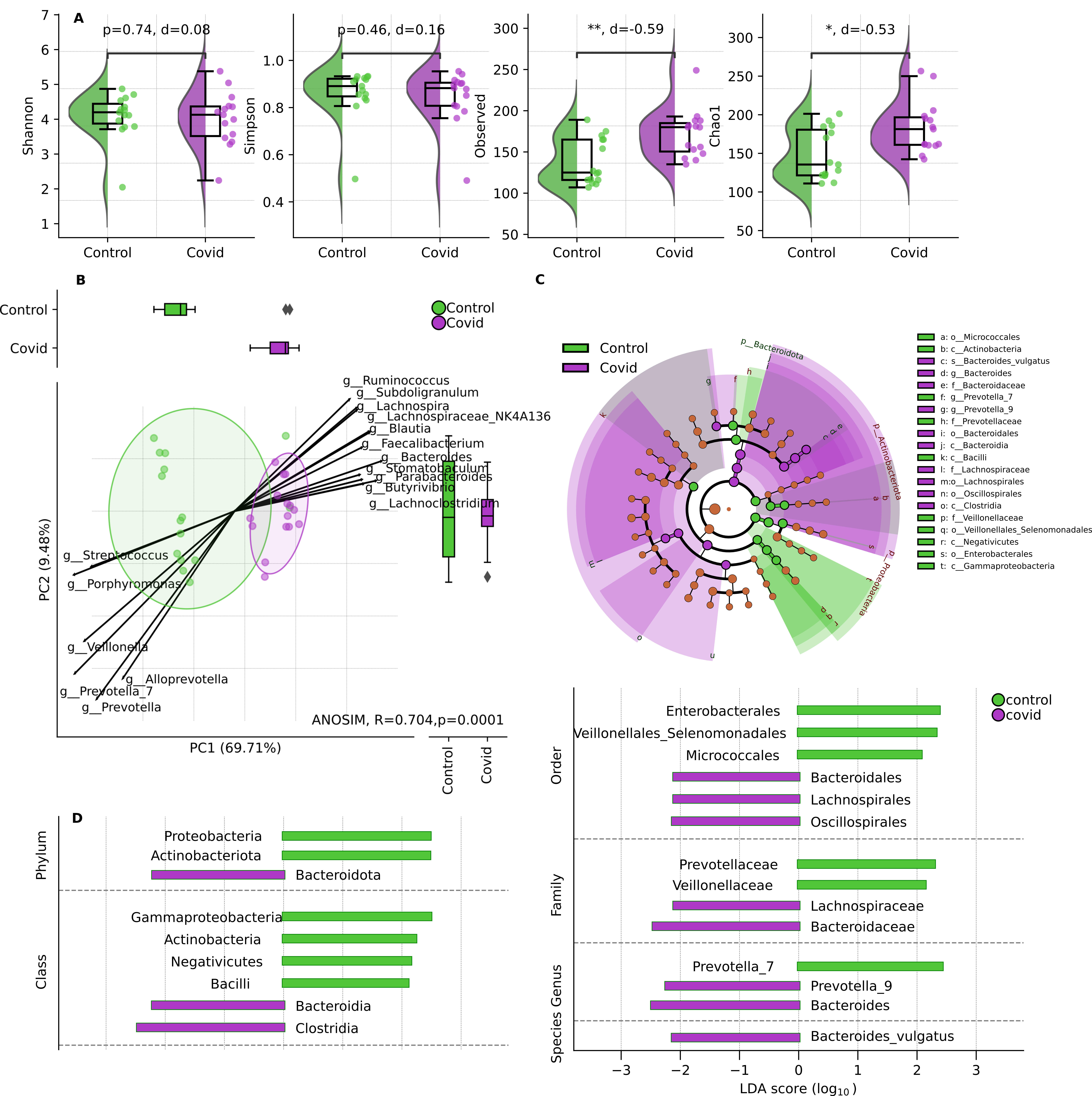 Viruses 16 00722 g004