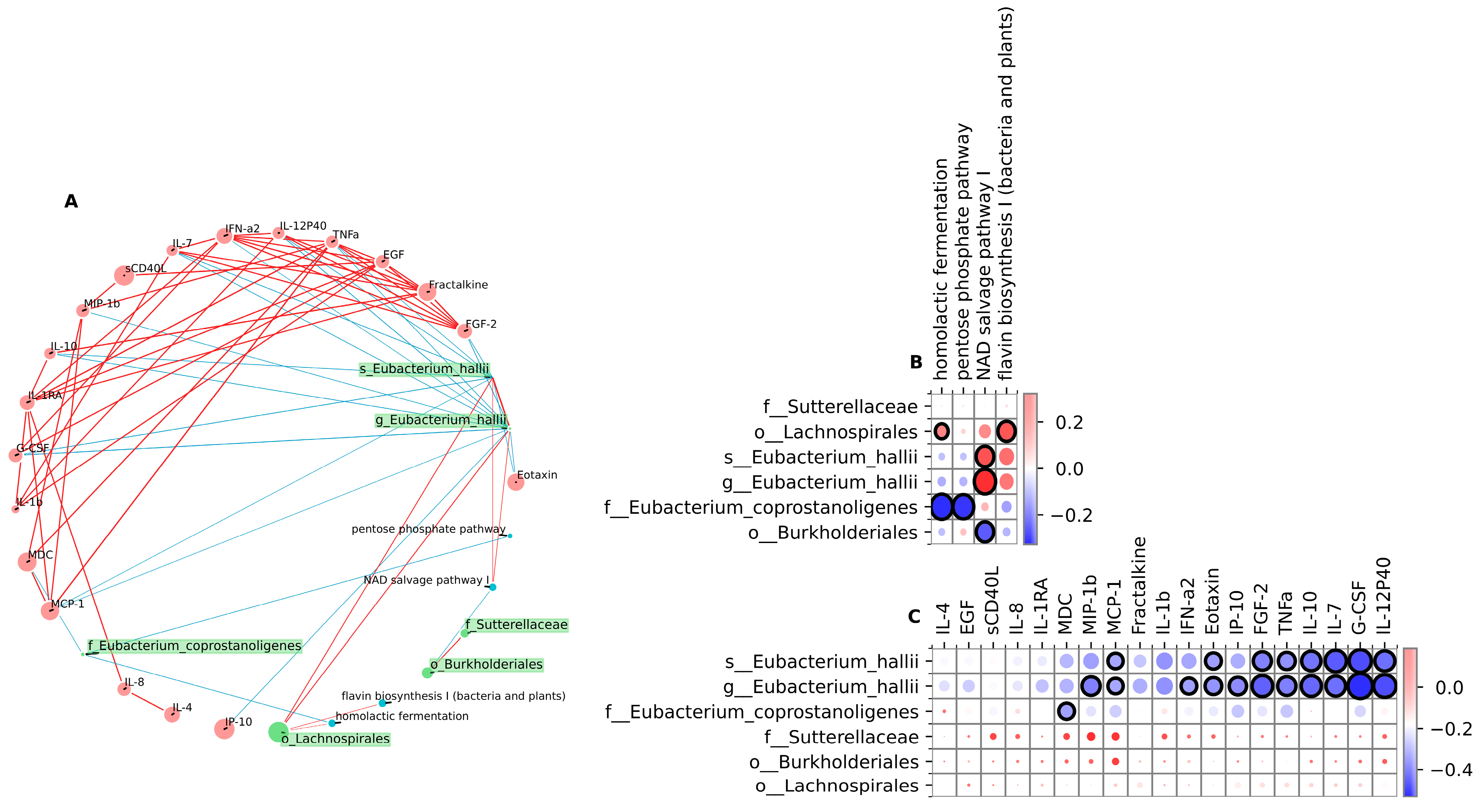 Viruses 16 00722 g006
