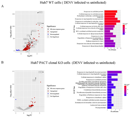 CRISPR Screen Reveals PACT as a Pro-Viral Factor for Dengue