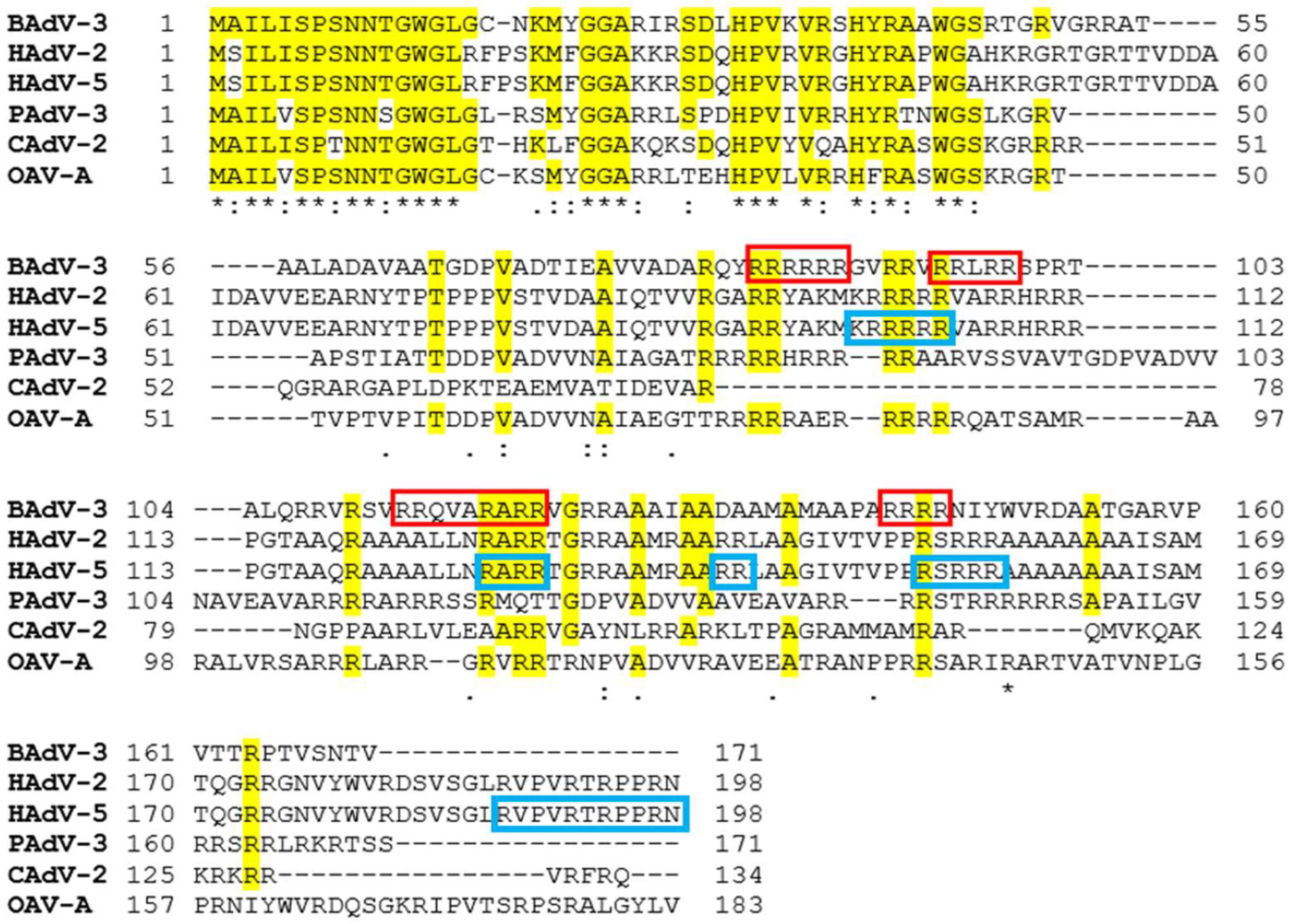 Viruses 16 00732 g001 Viruses 16 00732 g001
