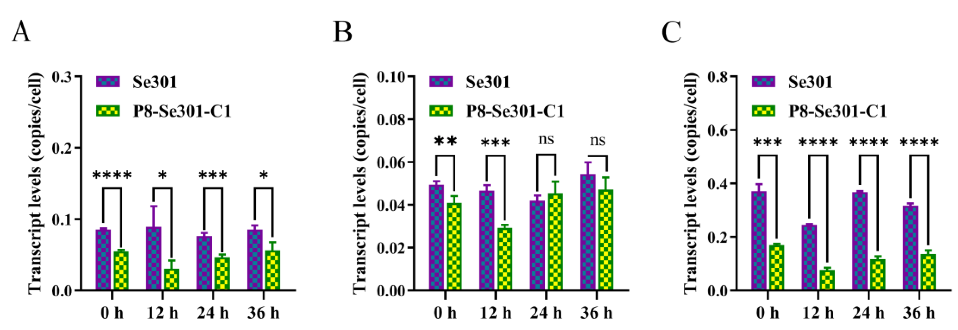 Viruses 16 00736 g002 Viruses 16 00736 g002