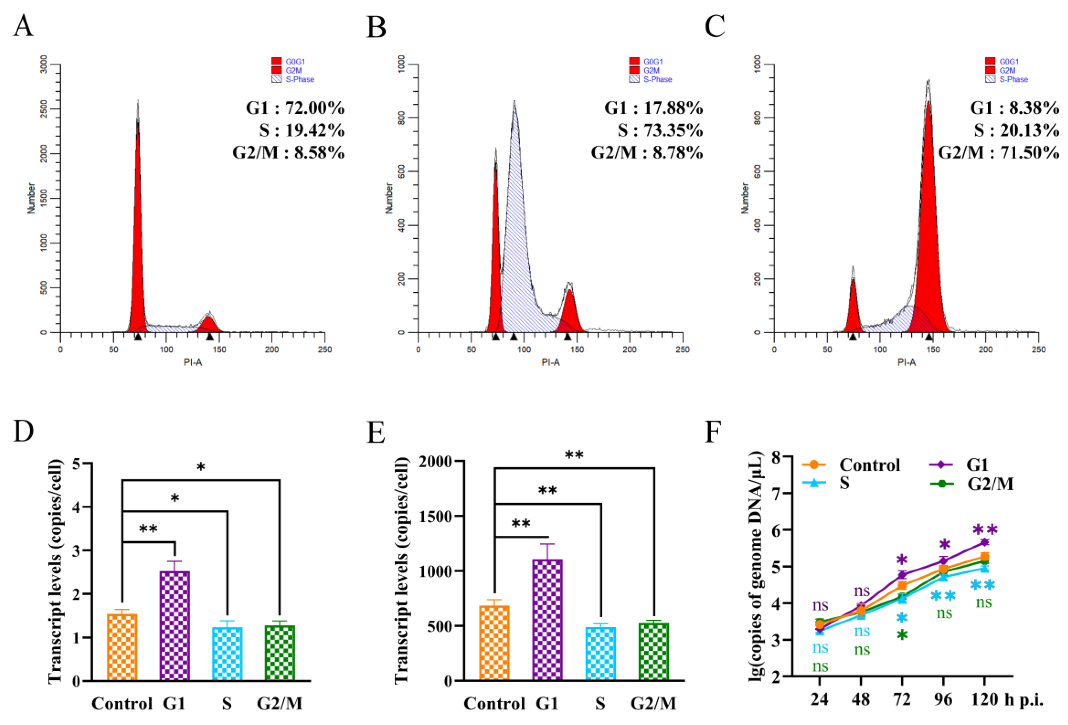 Viruses 16 00736 g004 Viruses 16 00736 g004