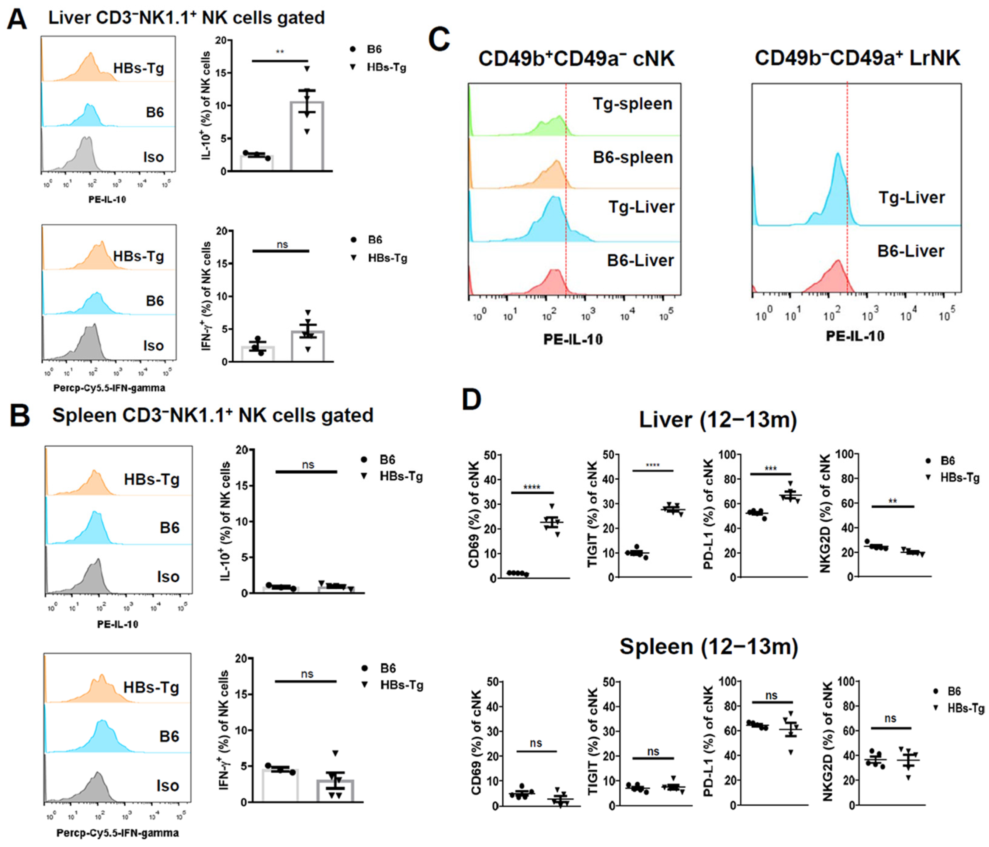 Viruses 16 00737 g002