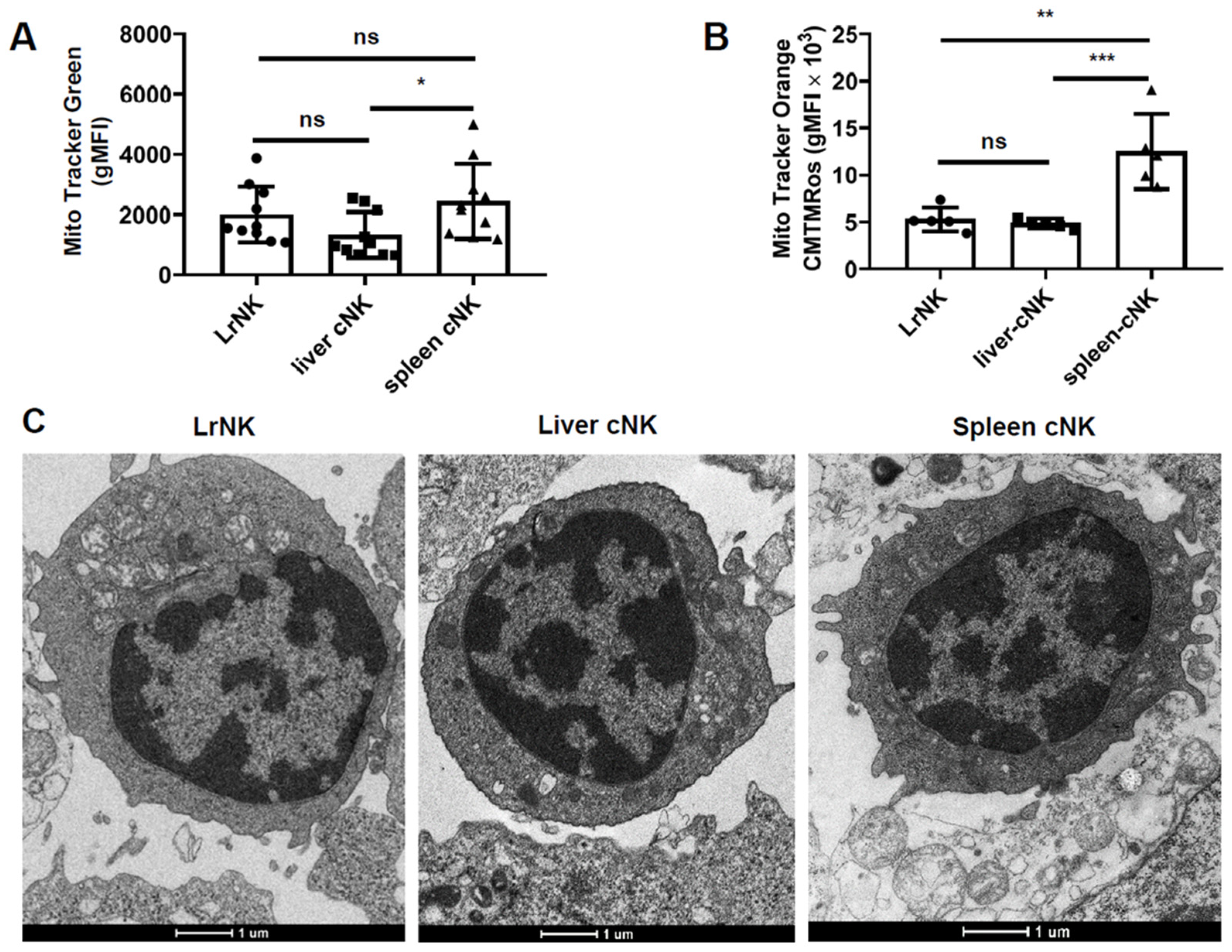 Viruses 16 00737 g003