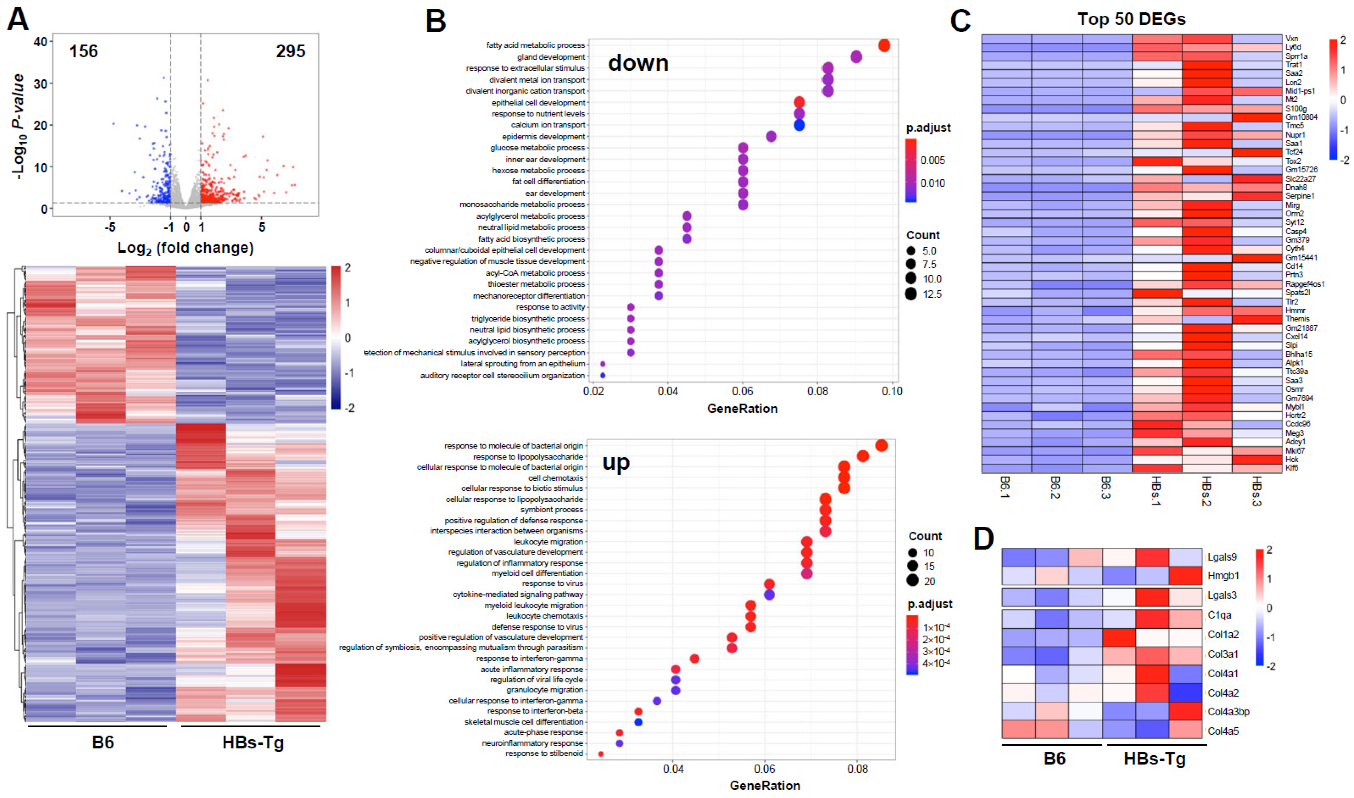 Viruses 16 00737 g004