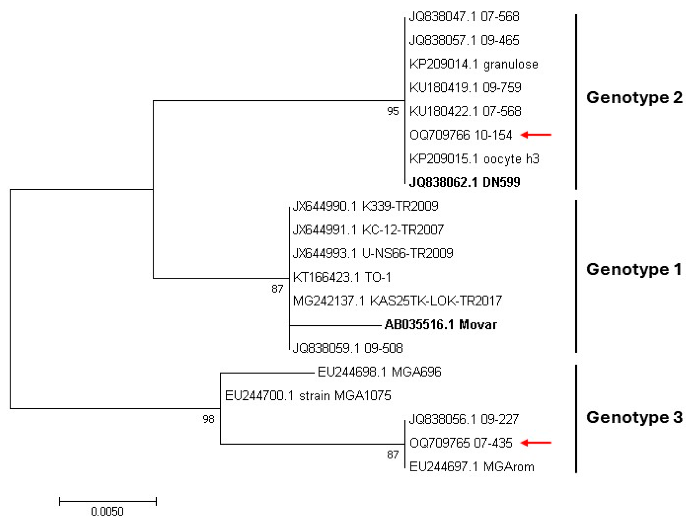 Viruses 16 00739 g003 Viruses 16 00739 g003