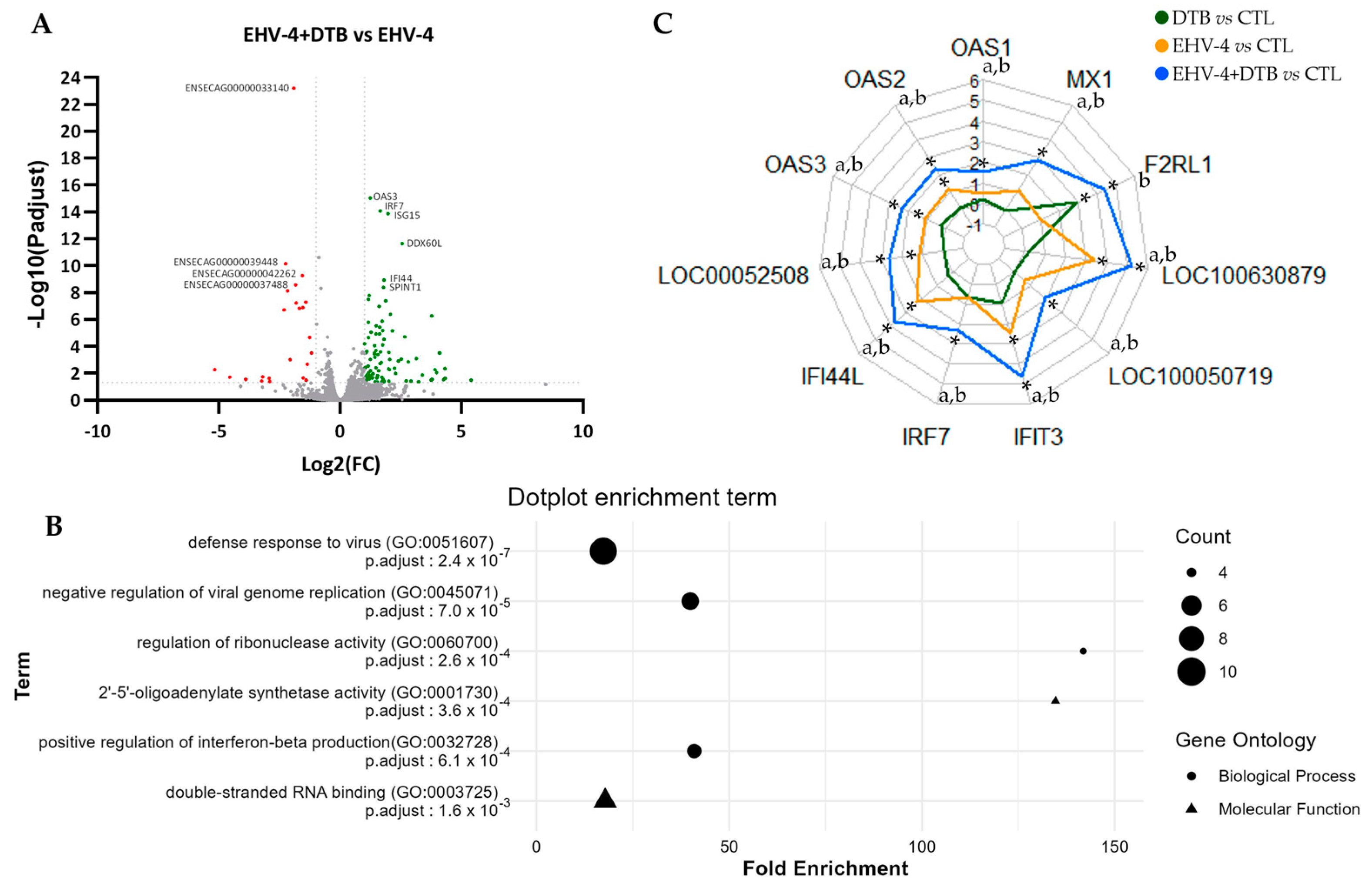 Viruses 16 00746 g003