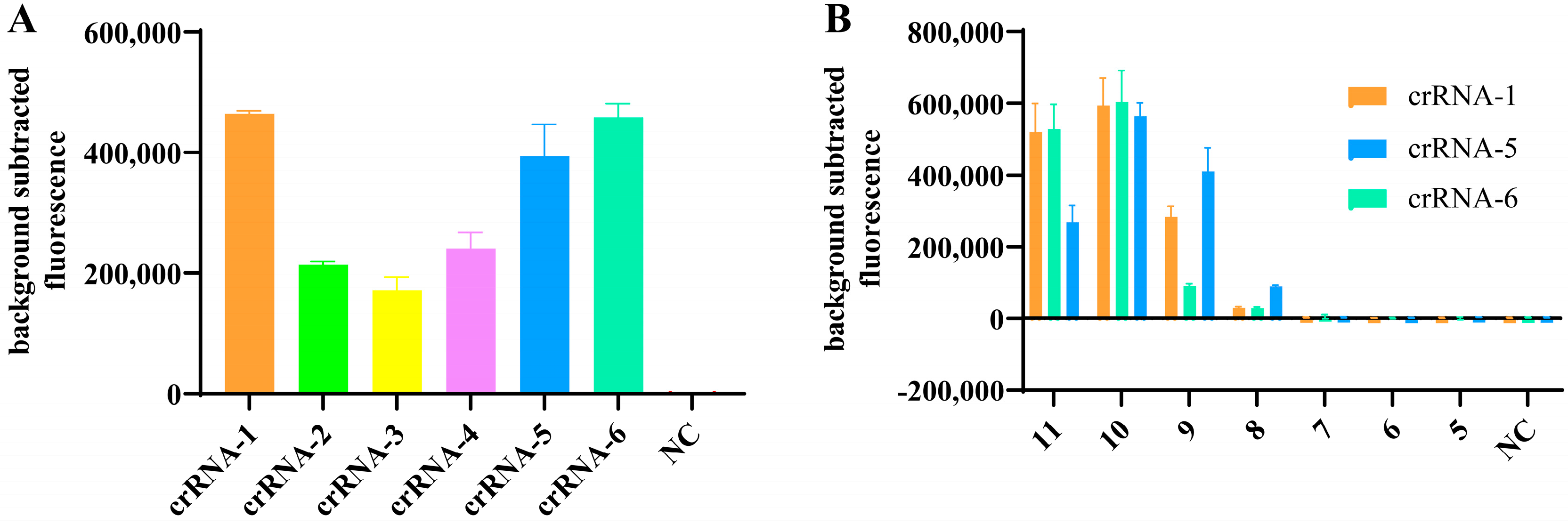 Viruses 16 00753 g002