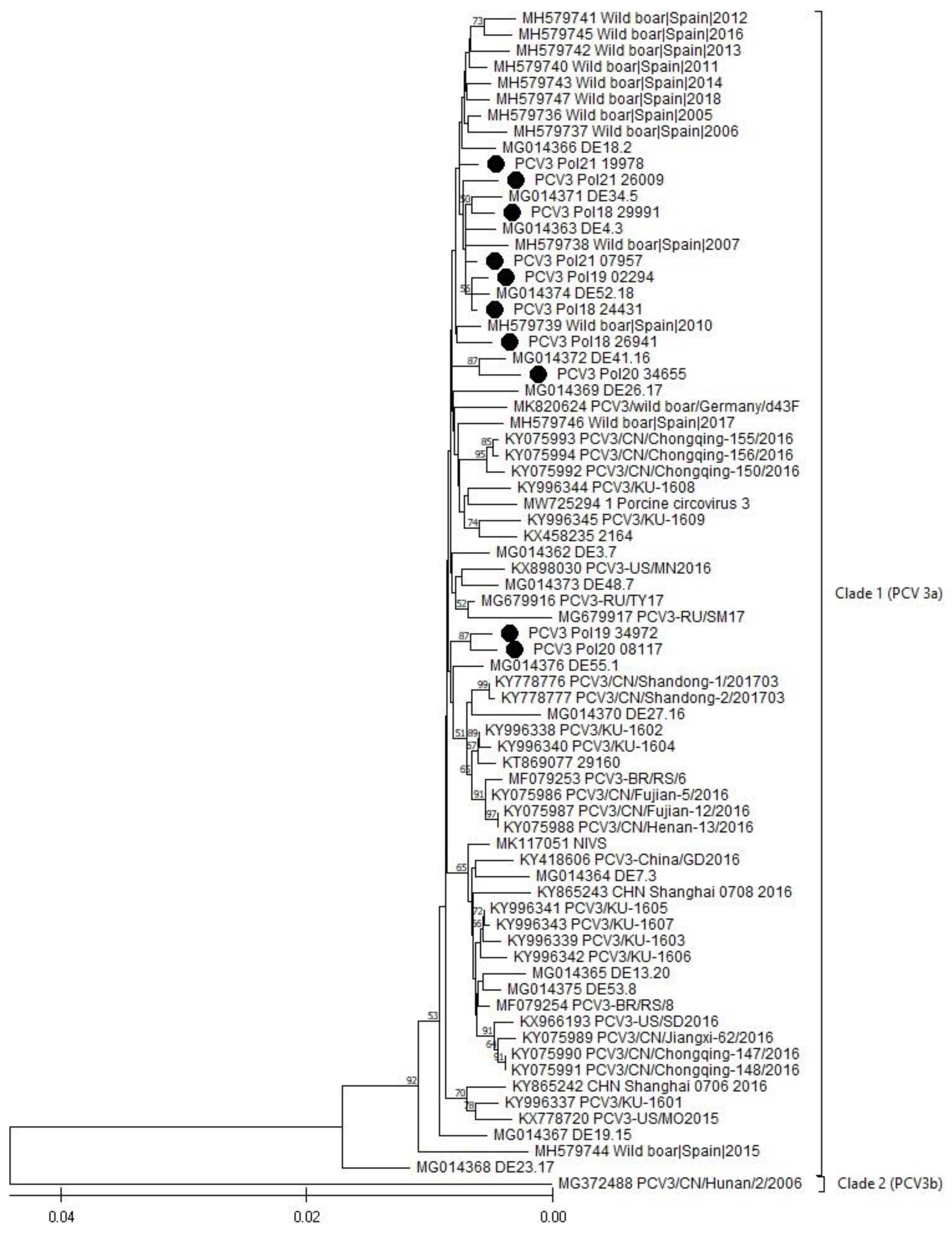 Viruses 16 00754 g002 Viruses 16 00754 g002