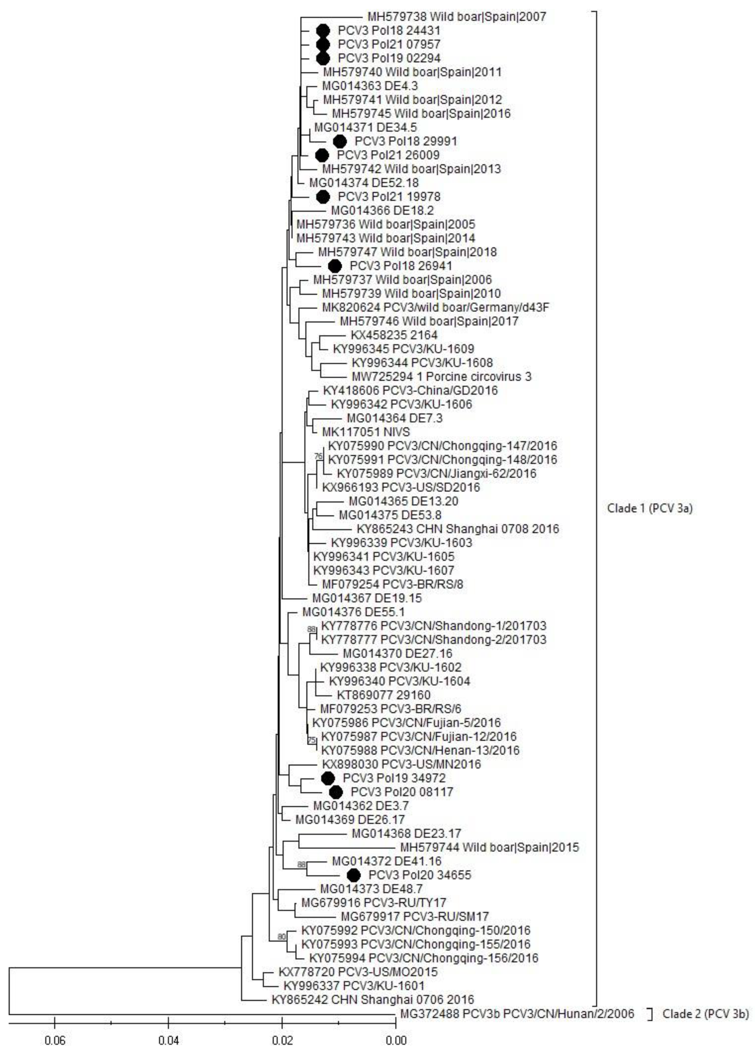 Viruses 16 00754 g003 Viruses 16 00754 g003
