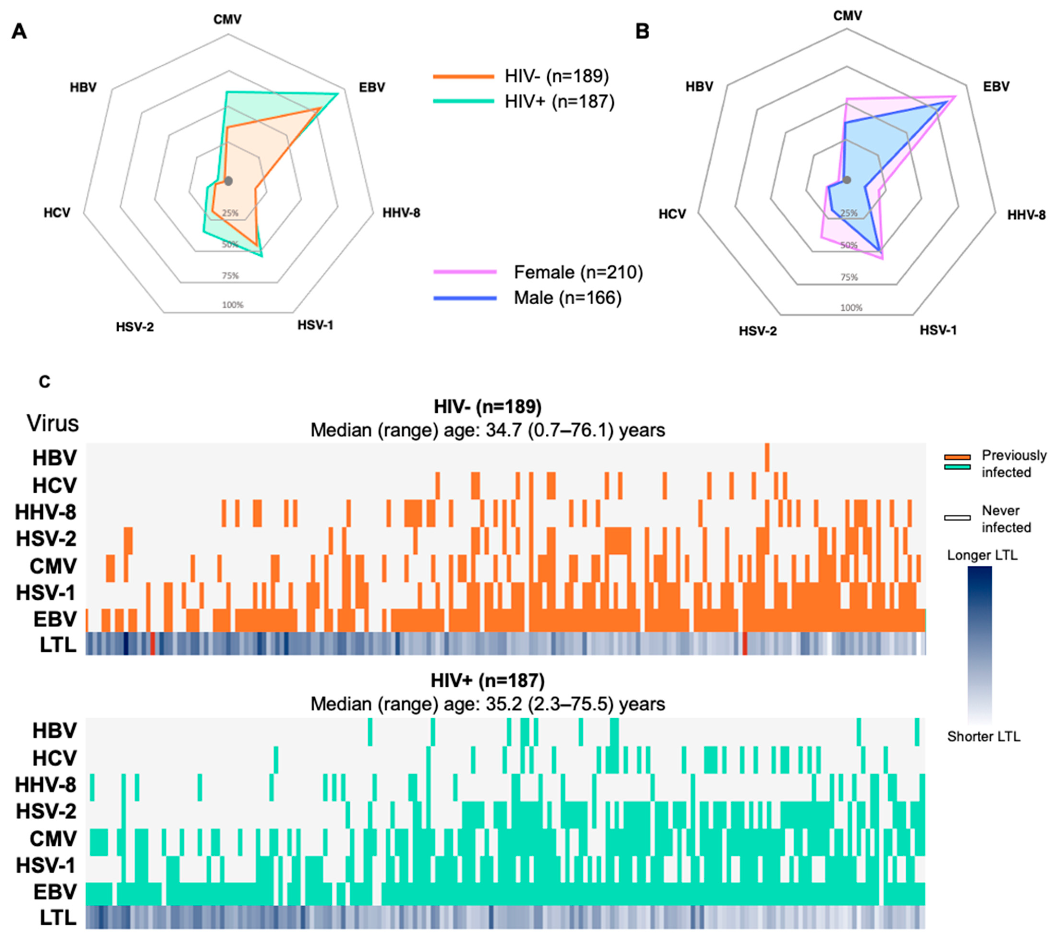 Viruses 16 00755 g001