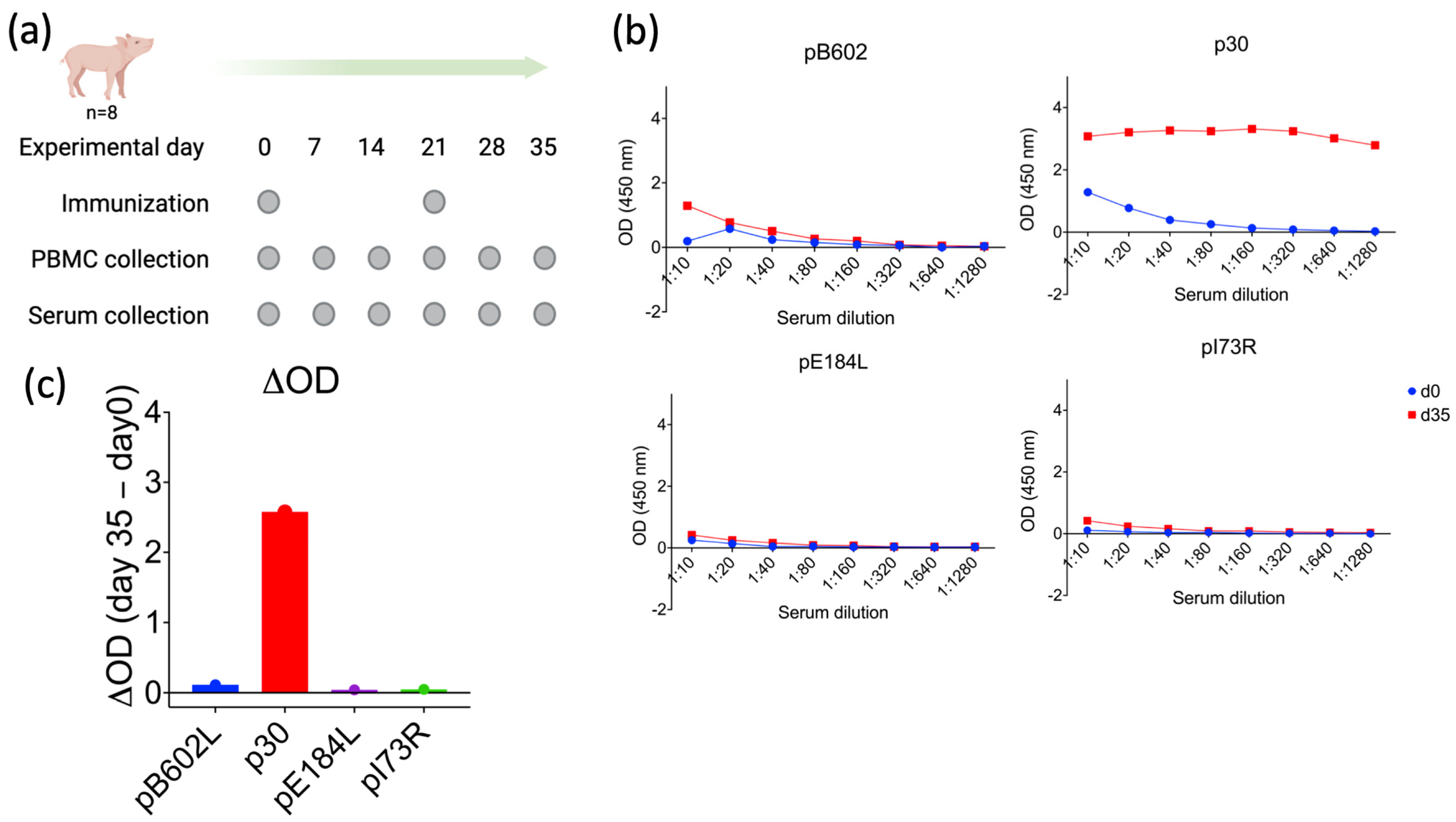 Viruses 16 00758 g003 Viruses 16 00758 g003