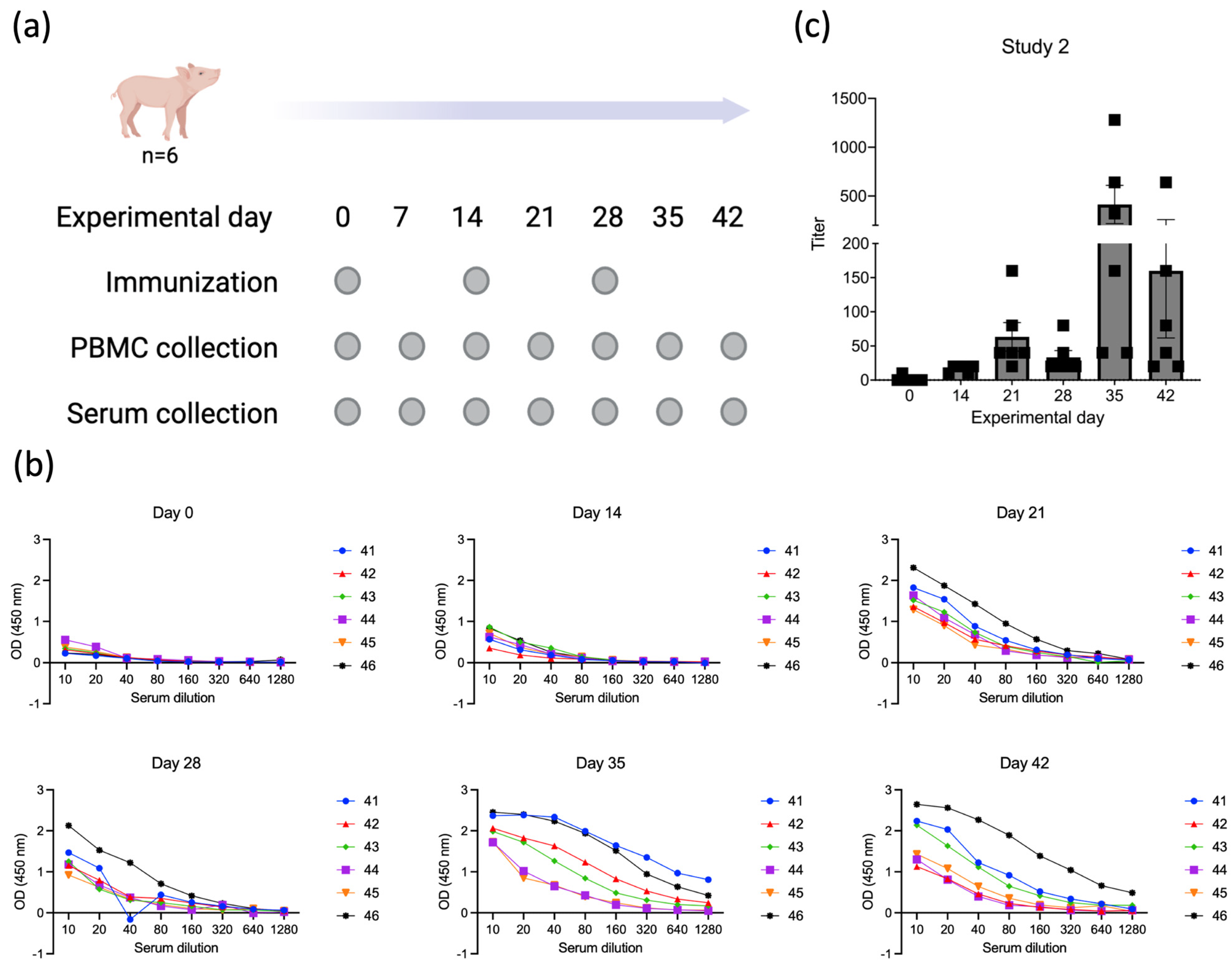 Viruses 16 00758 g005 Viruses 16 00758 g005