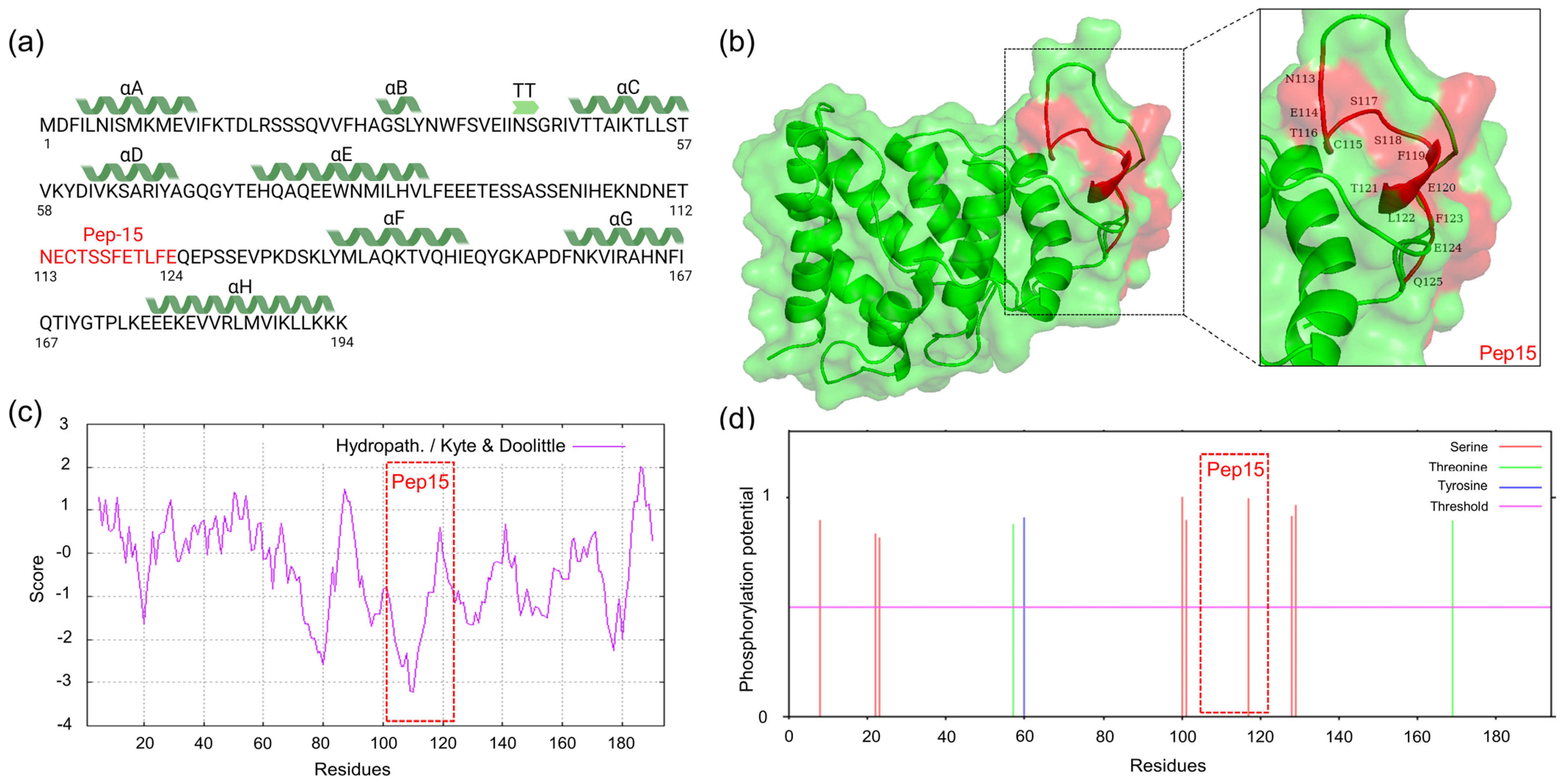 Viruses 16 00758 g008 Viruses 16 00758 g008