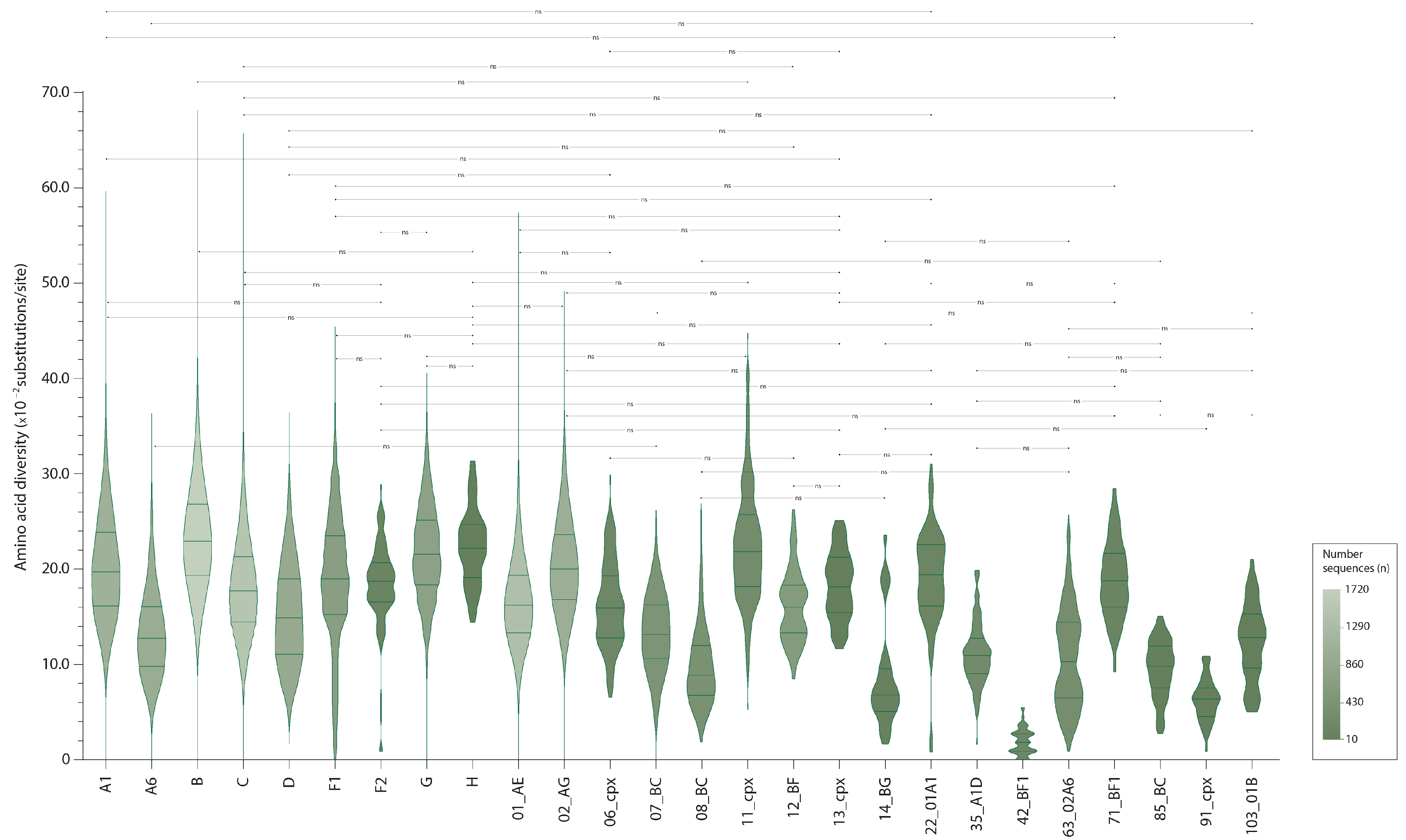 Viruses 16 00759 g001 Viruses 16 00759 g001