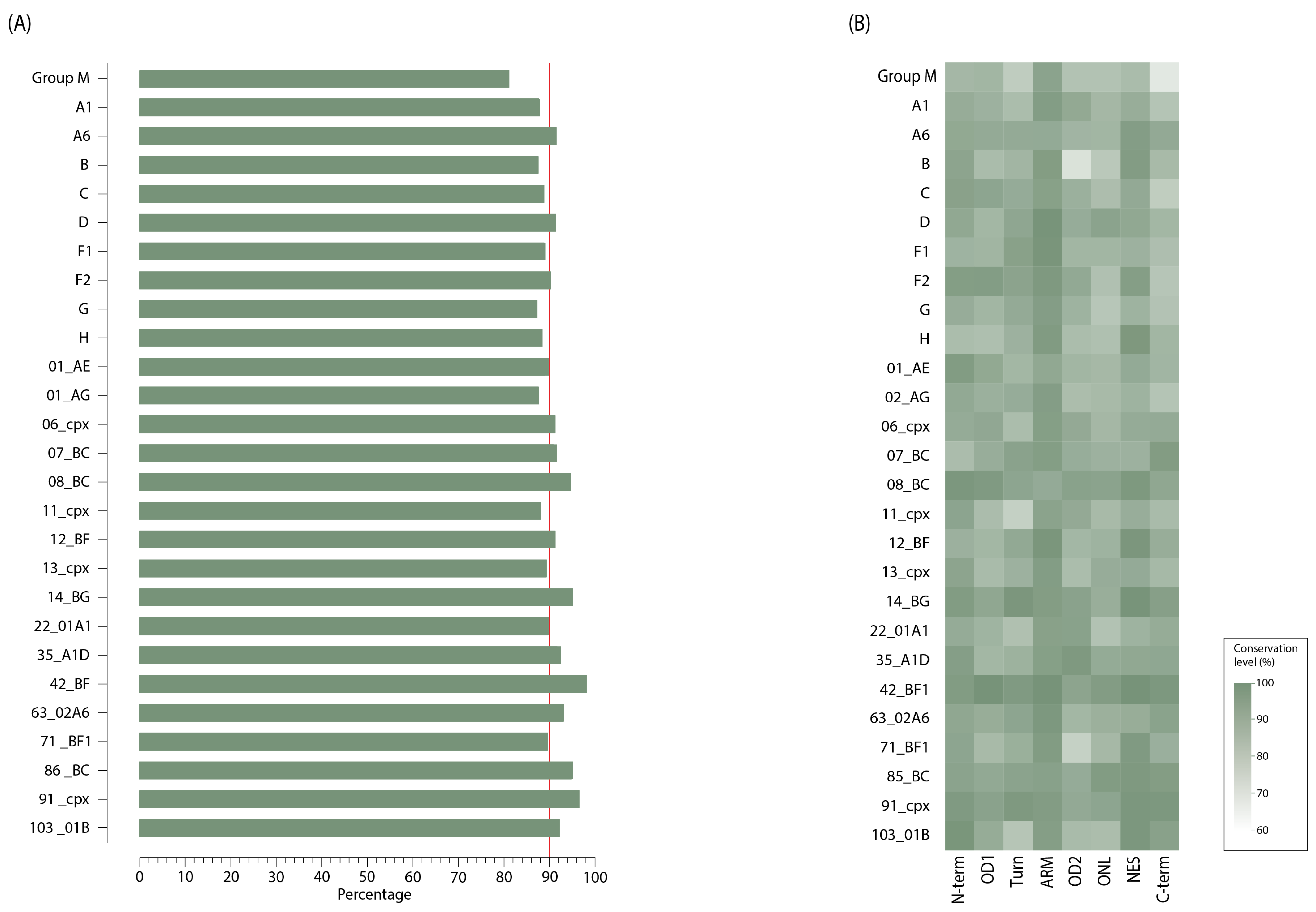 Viruses 16 00759 g003 Viruses 16 00759 g003