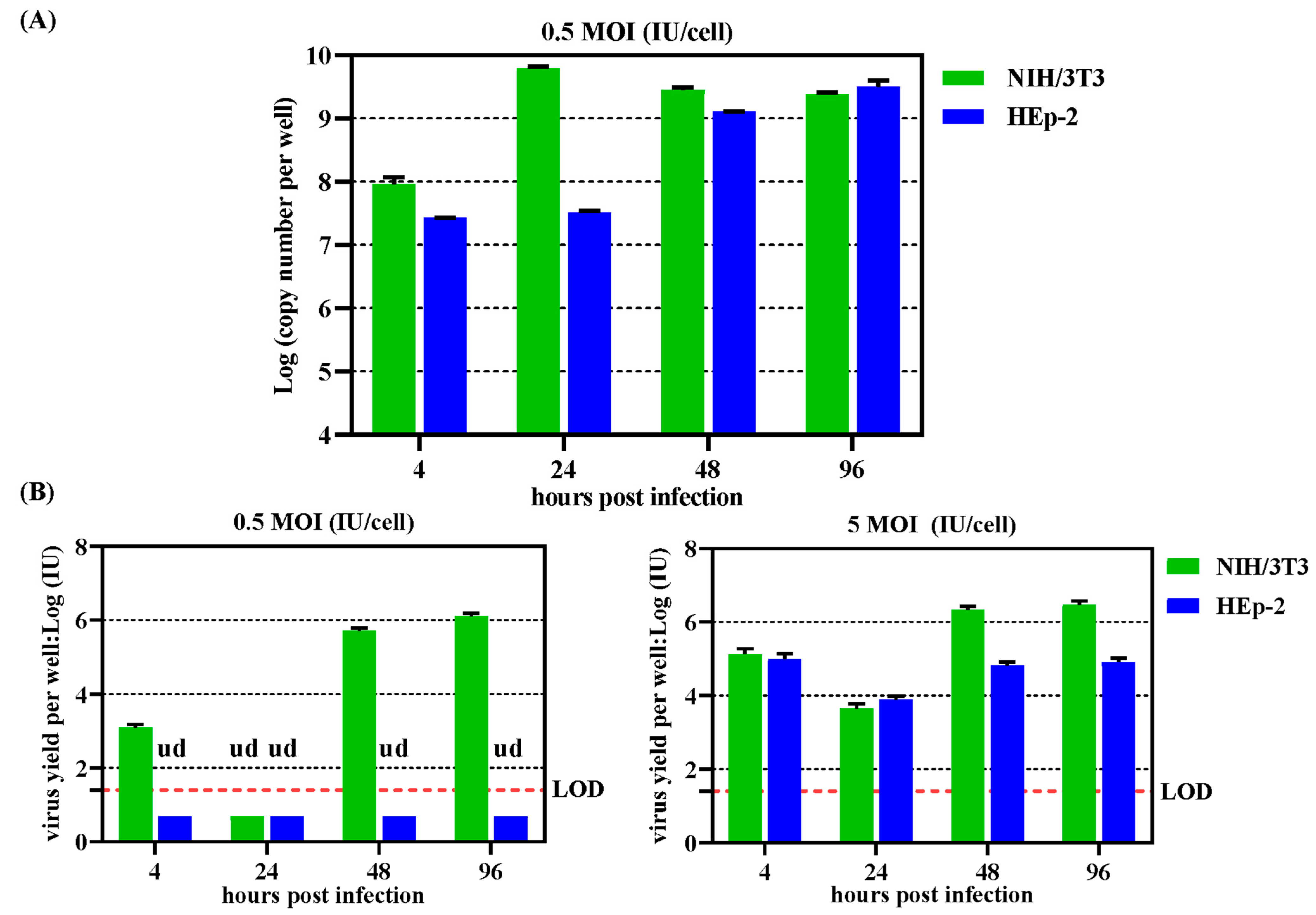 Viruses 16 00761 g005