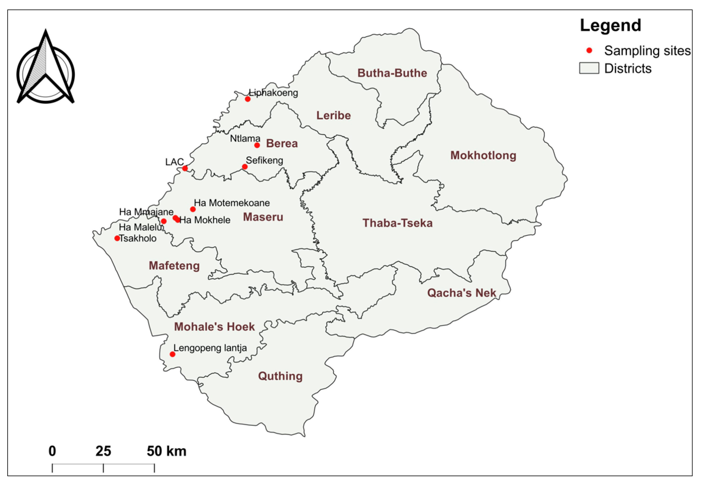 Viruses 16 00762 g001 Viruses 16 00762 g001